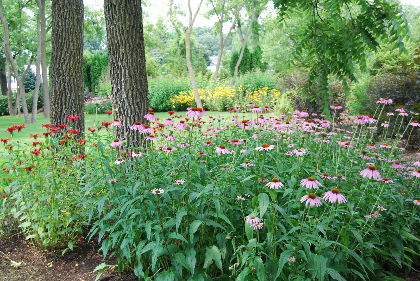 28360 Heritage Oak Road Chicago, IL 60641 - Photo 76 of 99