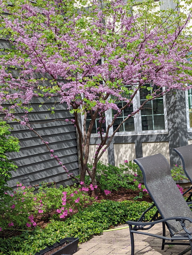 28360 Heritage Oak Road Chicago, IL 60641 - Photo 81 of 99