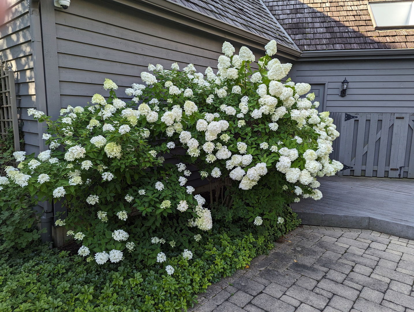 28360 Heritage Oak Road Chicago, IL 60641 - Photo 85 of 99