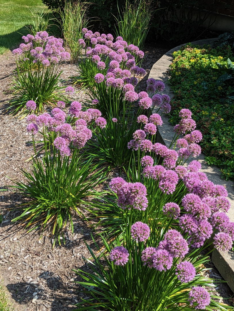 28360 Heritage Oak Road Chicago, IL 60641 - Photo 86 of 99