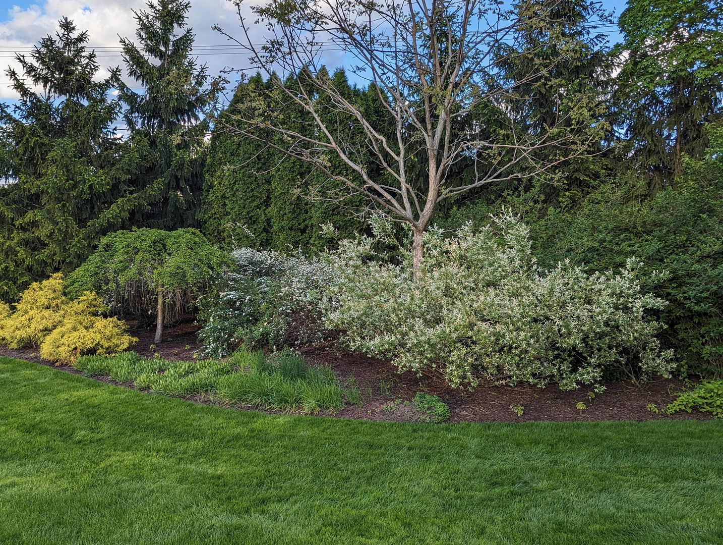 28360 Heritage Oak Road Chicago, IL 60641 - Photo 87 of 99