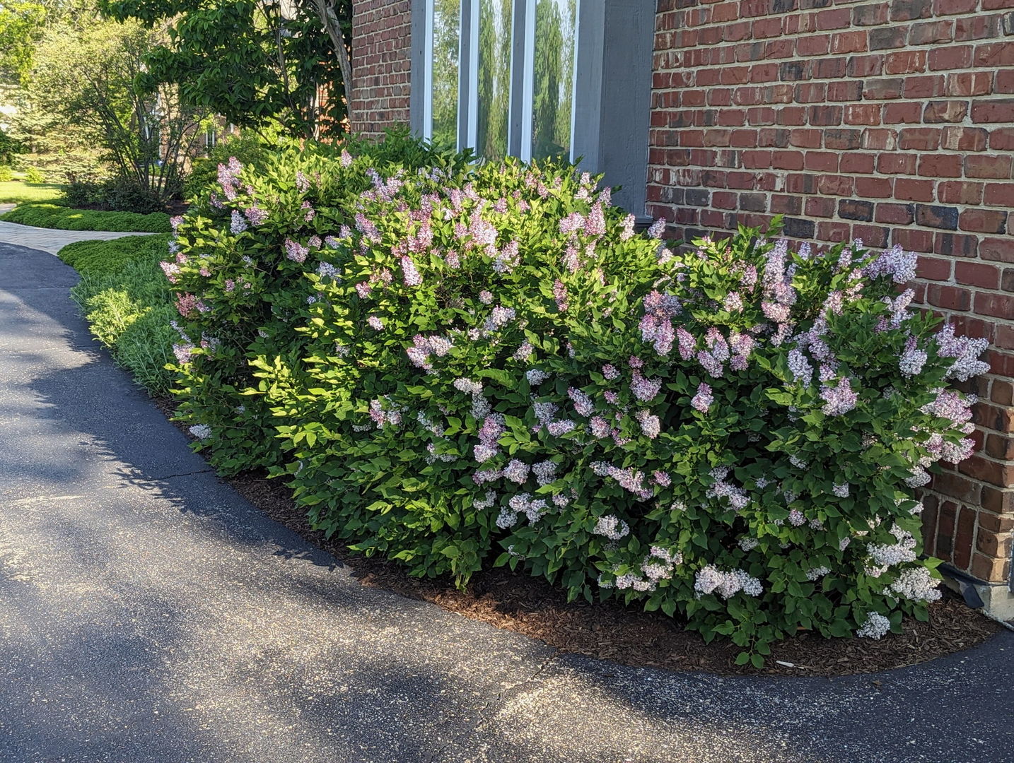 28360 Heritage Oak Road Chicago, IL 60641 - Photo 88 of 99