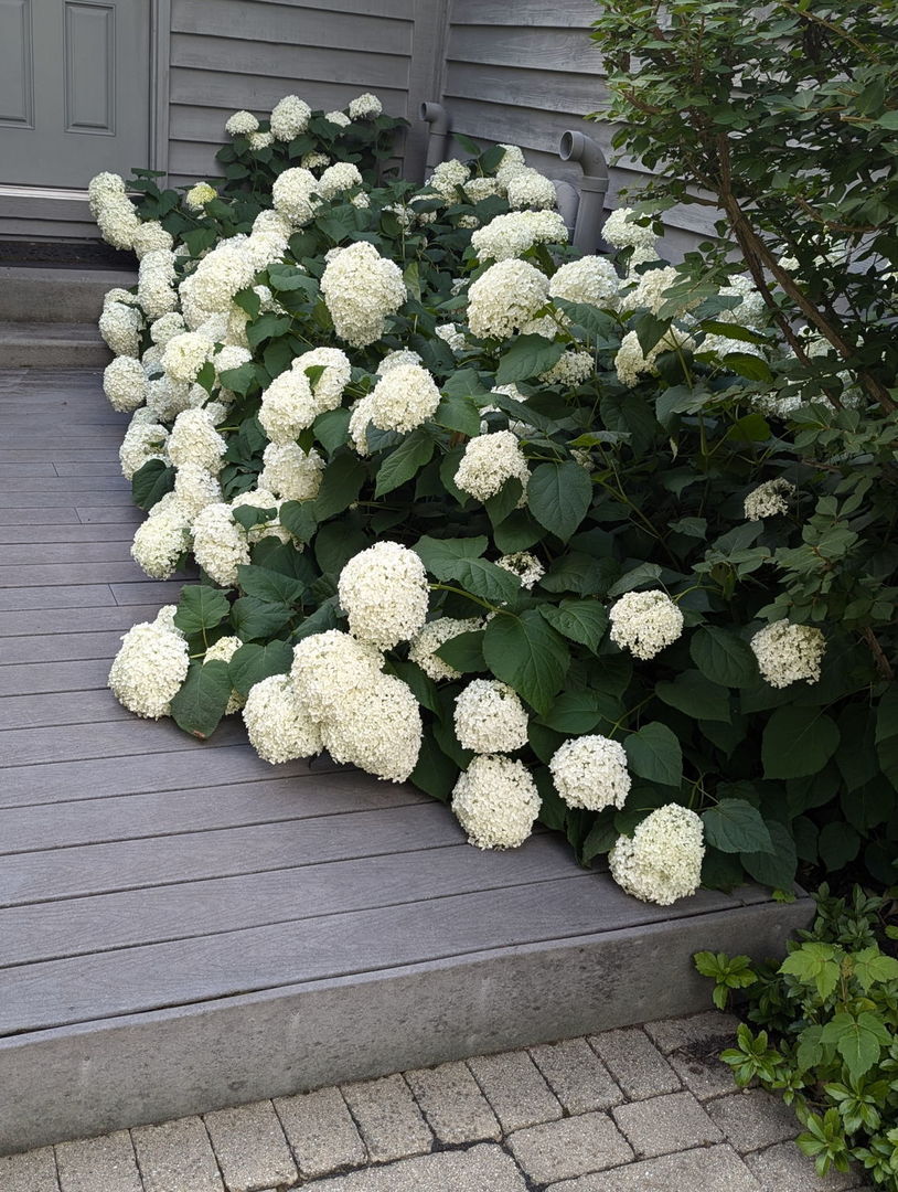 28360 Heritage Oak Road Chicago, IL 60641 - Photo 90 of 99