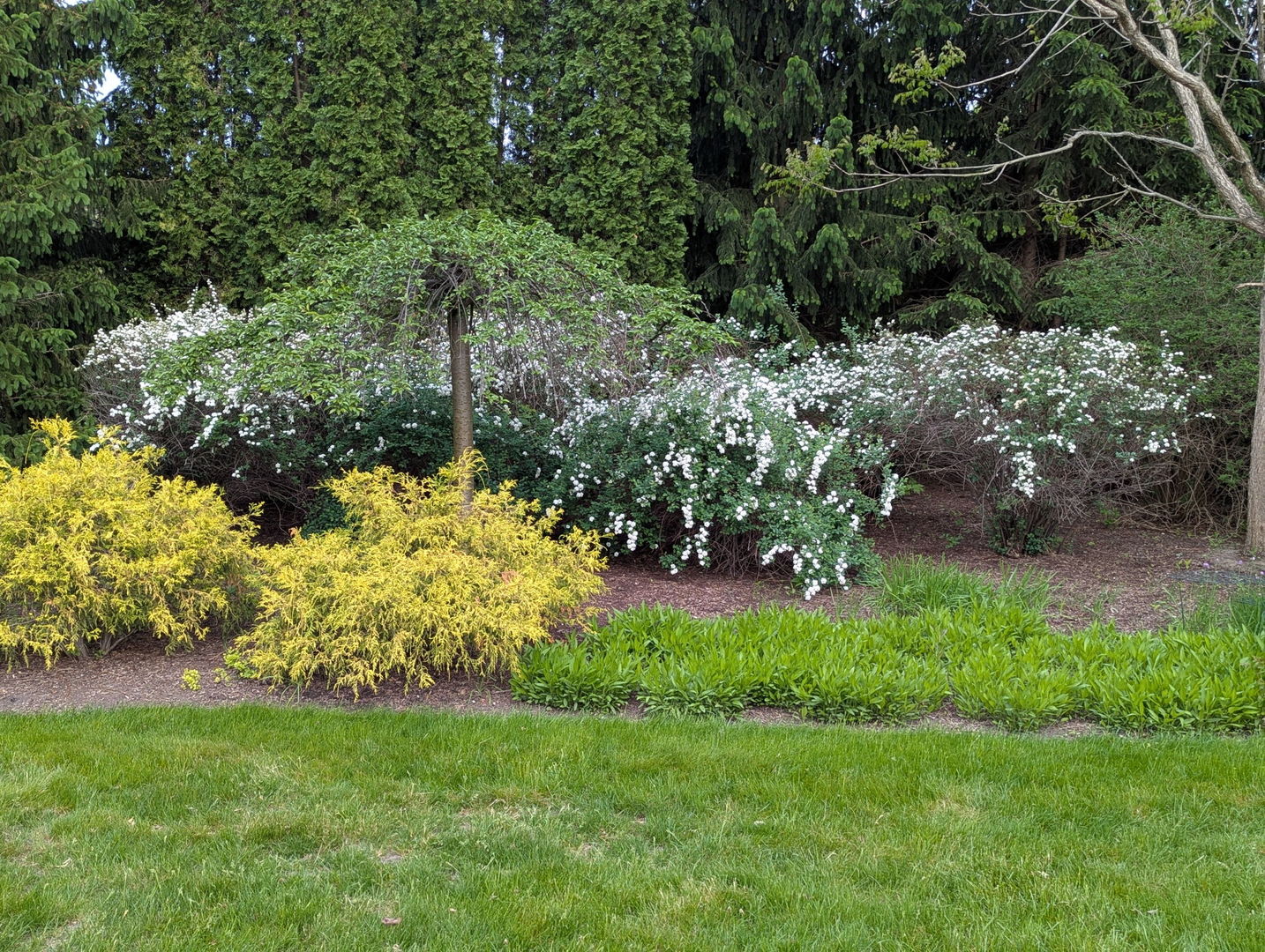 28360 Heritage Oak Road Chicago, IL 60641 - Photo 93 of 99