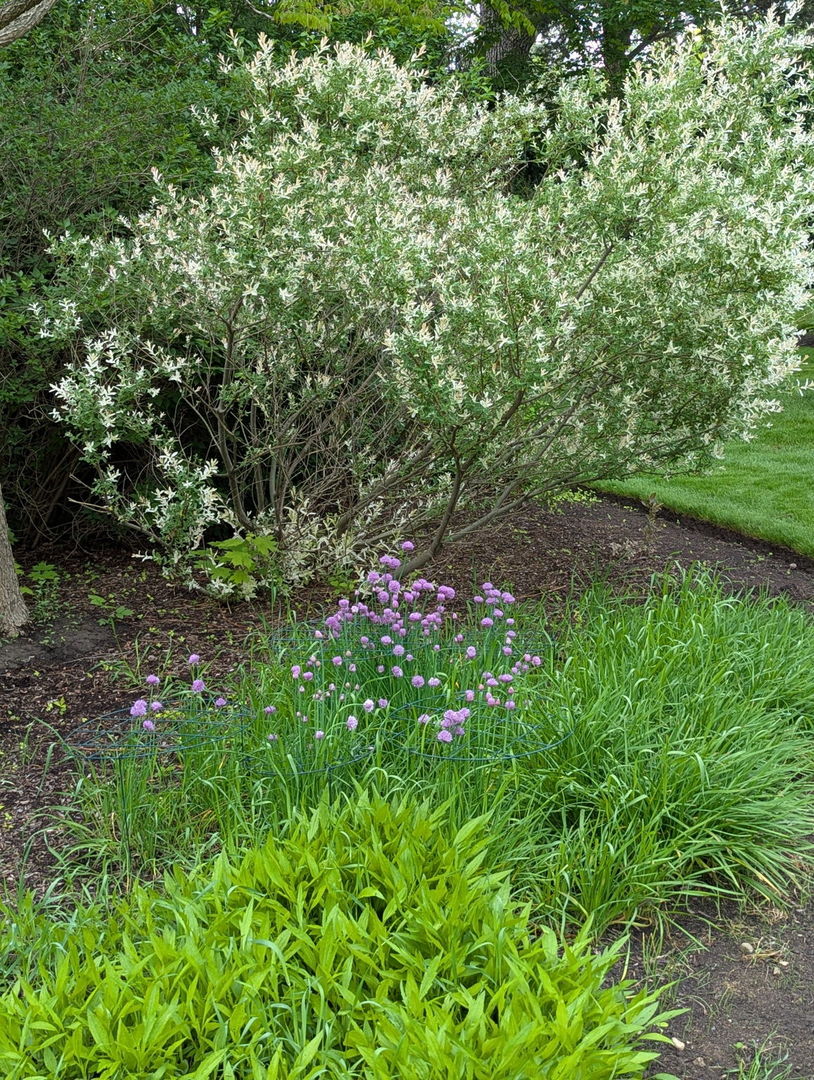 28360 Heritage Oak Road Chicago, IL 60641 - Photo 95 of 99