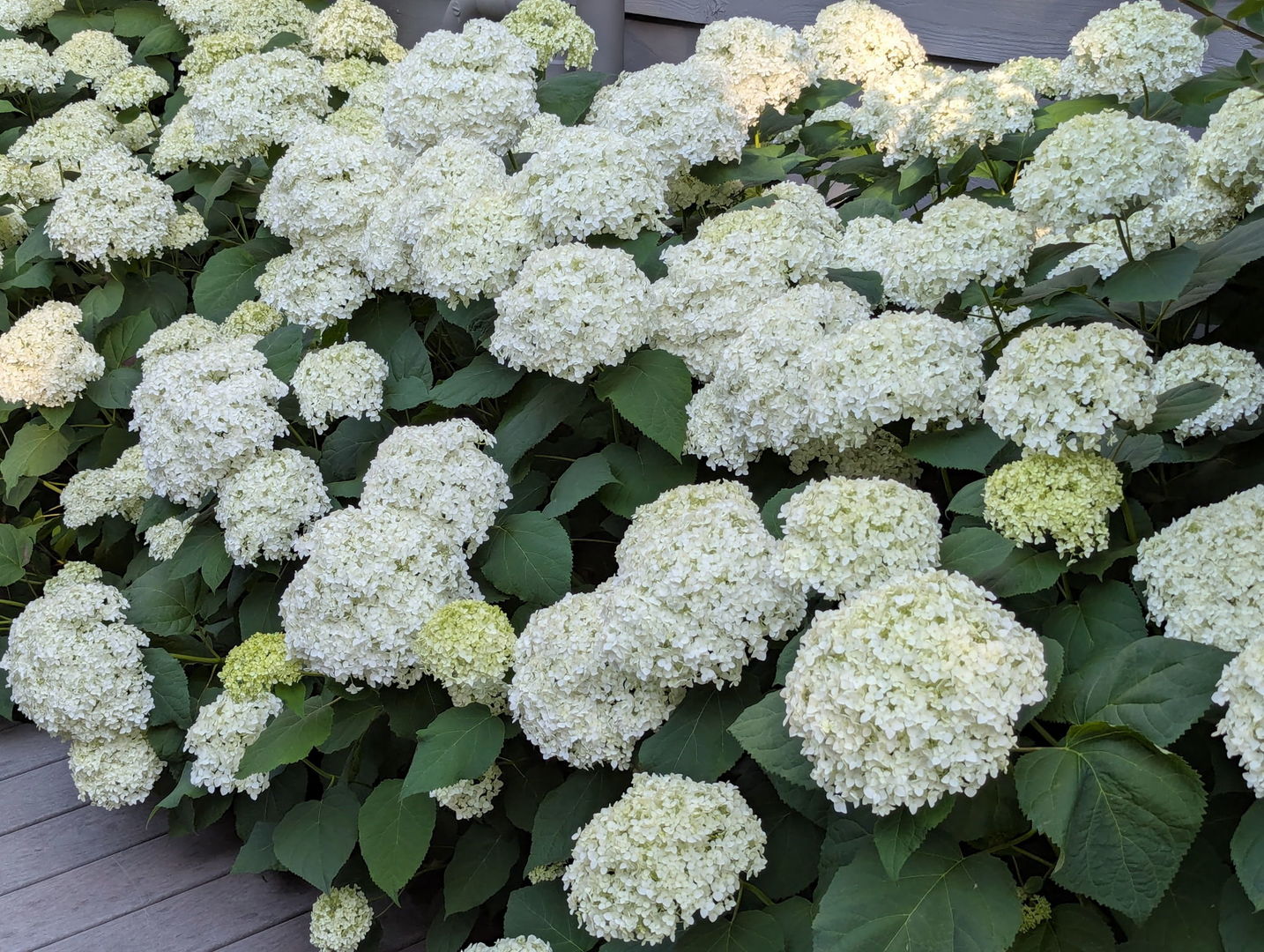 28360 Heritage Oak Road Chicago, IL 60641 - Photo 96 of 99