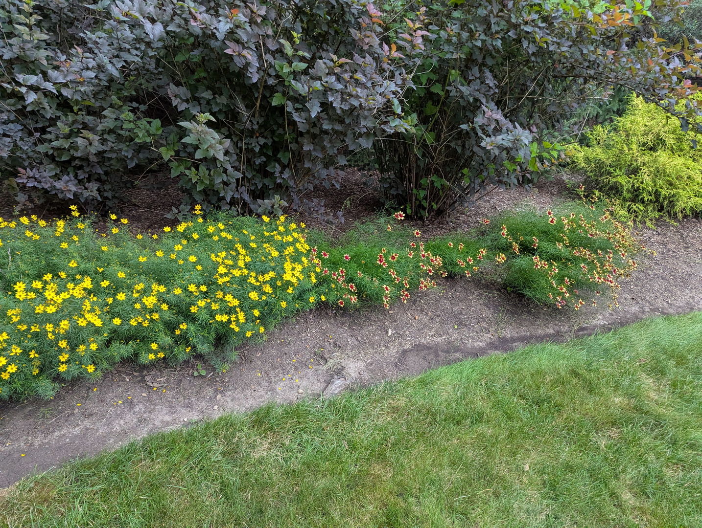 28360 Heritage Oak Road Chicago, IL 60641 - Photo 99 of 99