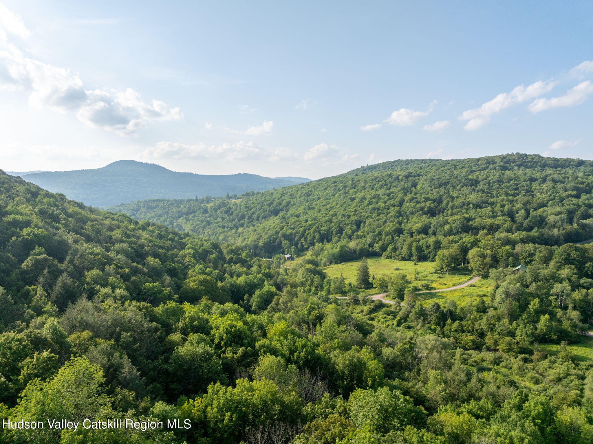a view of a lush green forest with houses