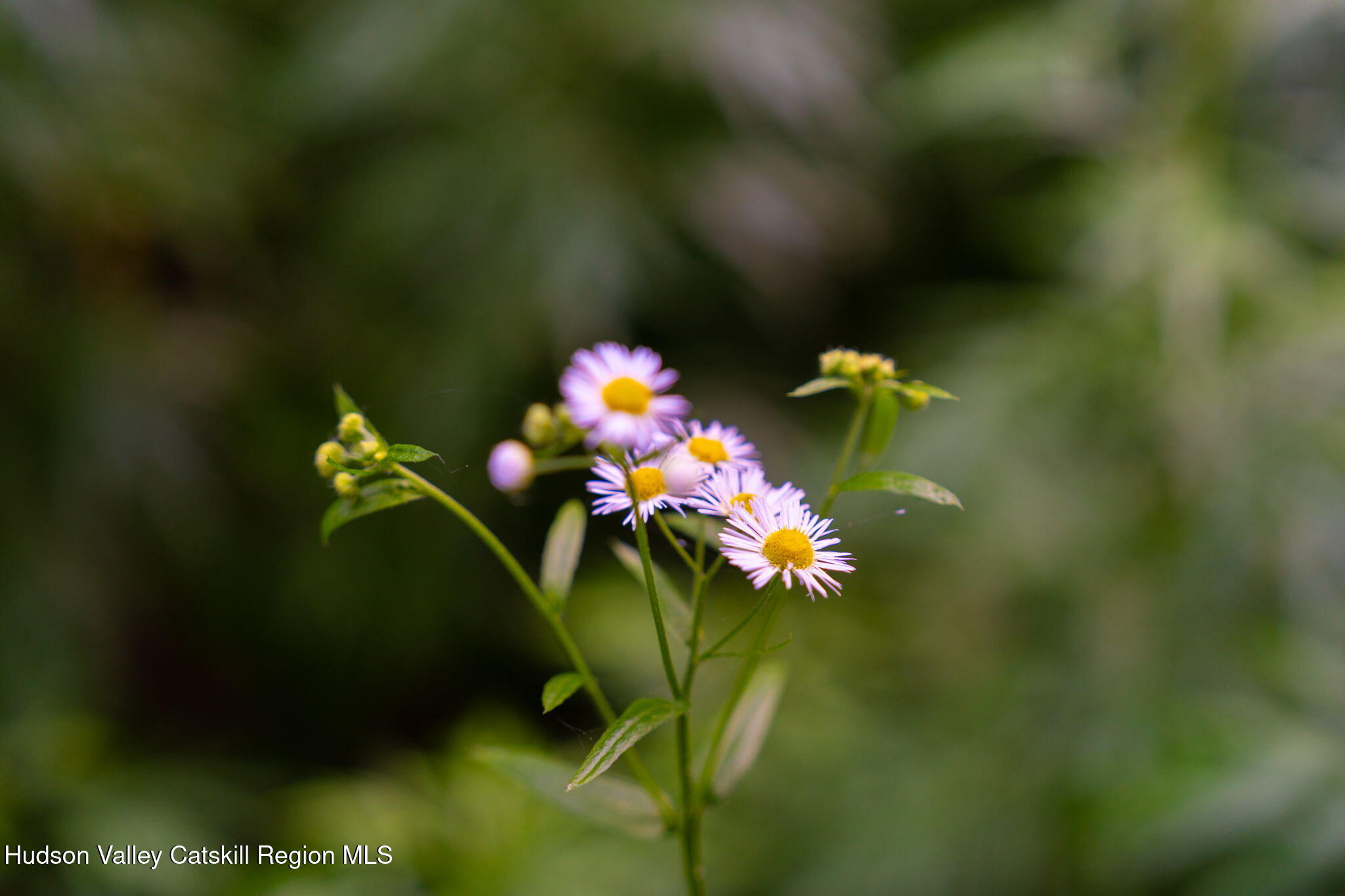 Tbd Tbd Broad Channel Road Andes, NY 13731 - Photo 15 of 23