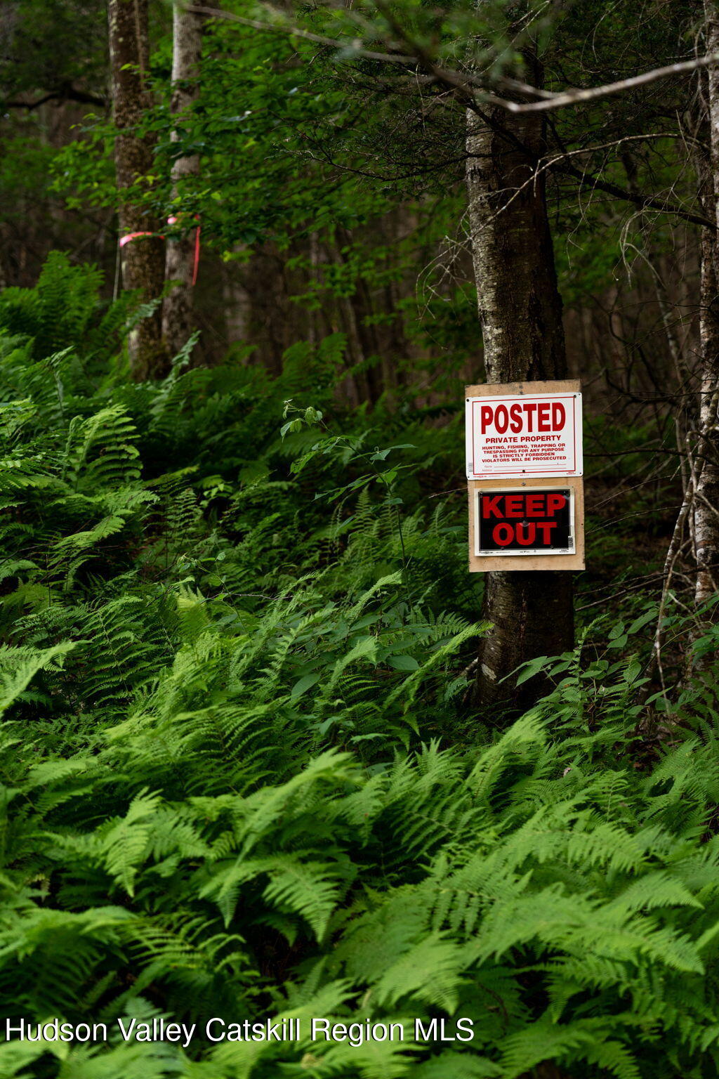 Tbd Tbd Broad Channel Road Andes, NY 13731 - Photo 16 of 23 a sign that is sitting in a forest