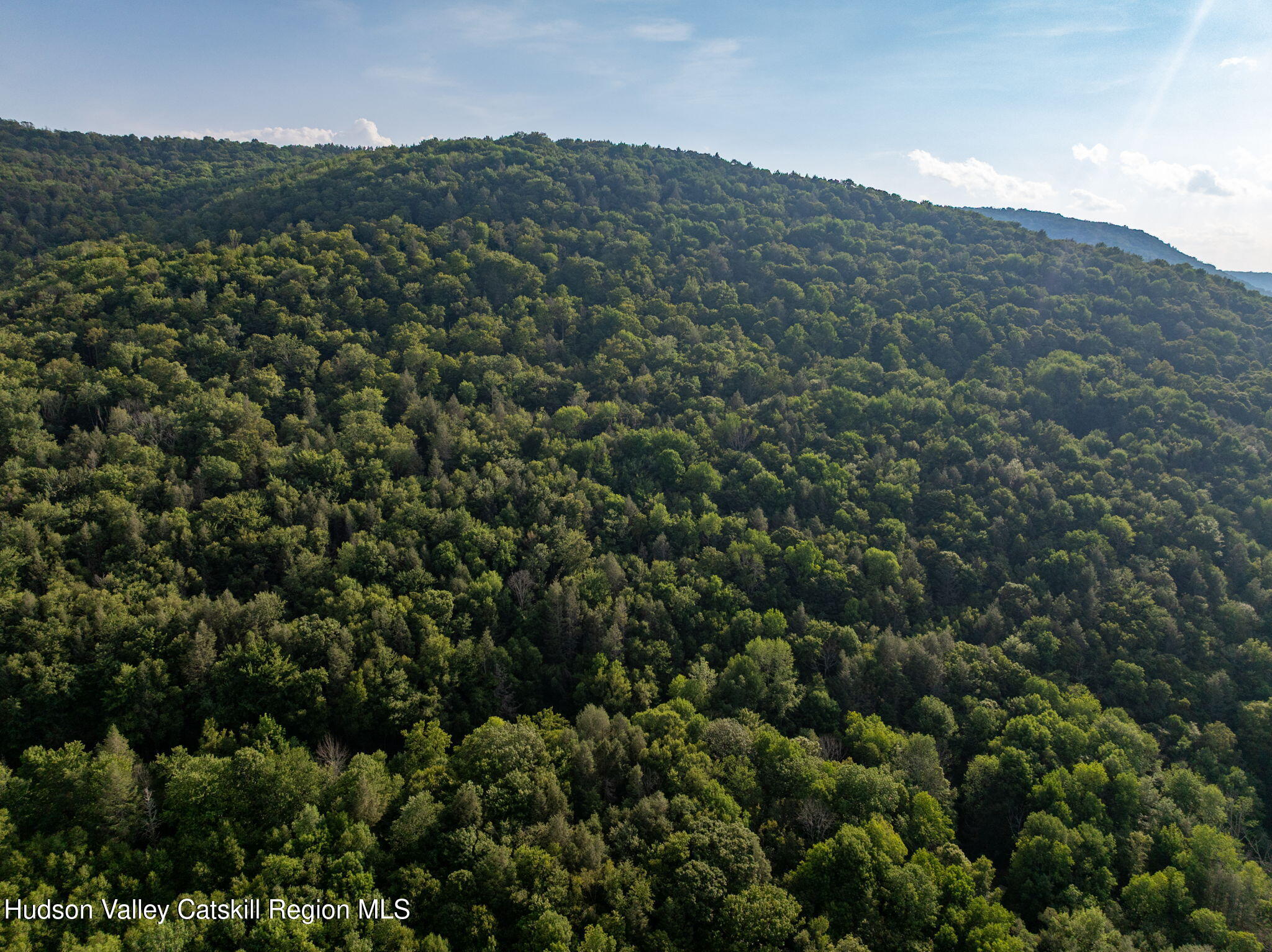 Tbd Tbd Broad Channel Road Andes, NY 13731 - Photo 17 of 23 a view of a city and mountains