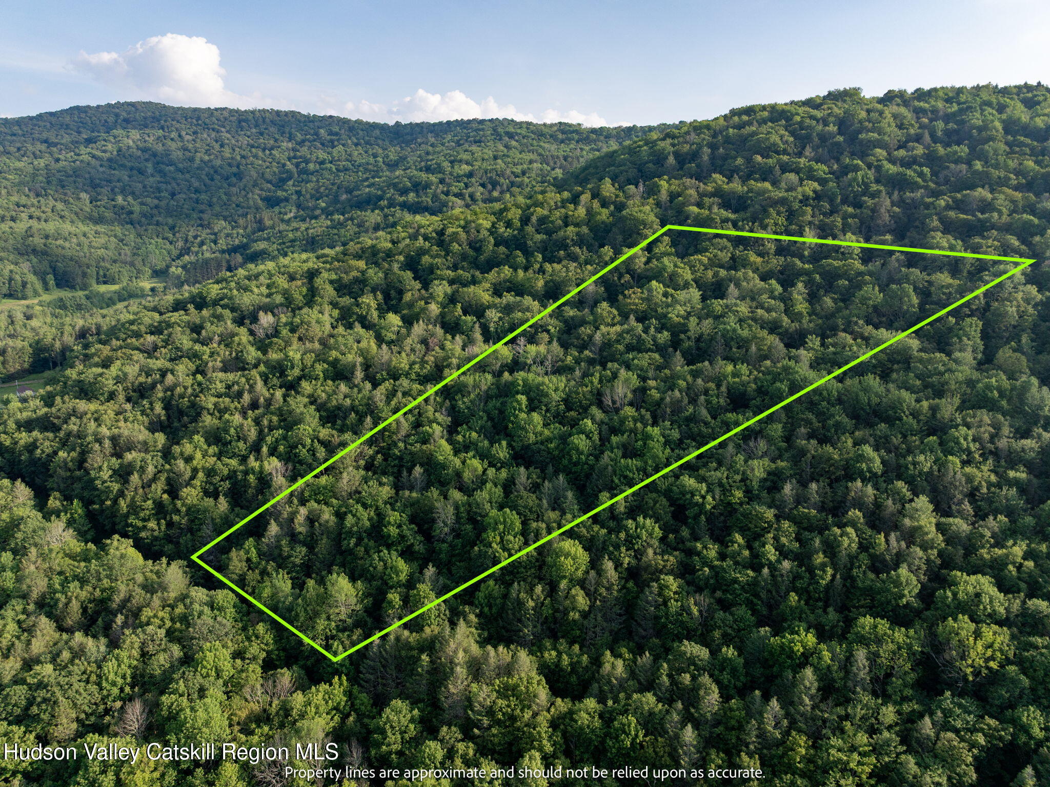 Tbd Tbd Broad Channel Road Andes, NY 13731 - Photo 21 of 23 a view of a balcony with an outdoor space