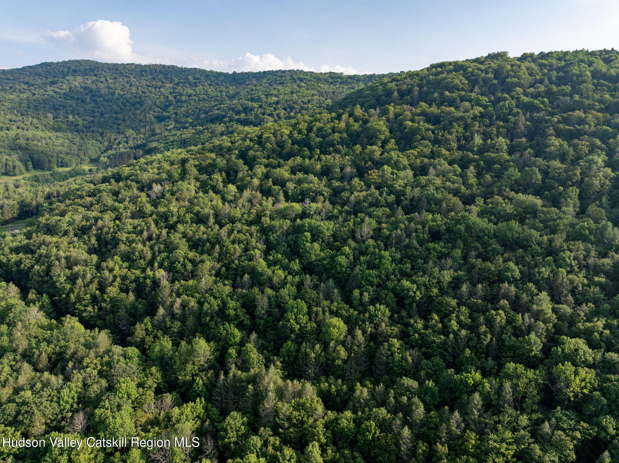 Tbd Tbd Broad Channel Road Andes, NY 13731 - Photo 22 of 23 a view of a green field with lots of bushes