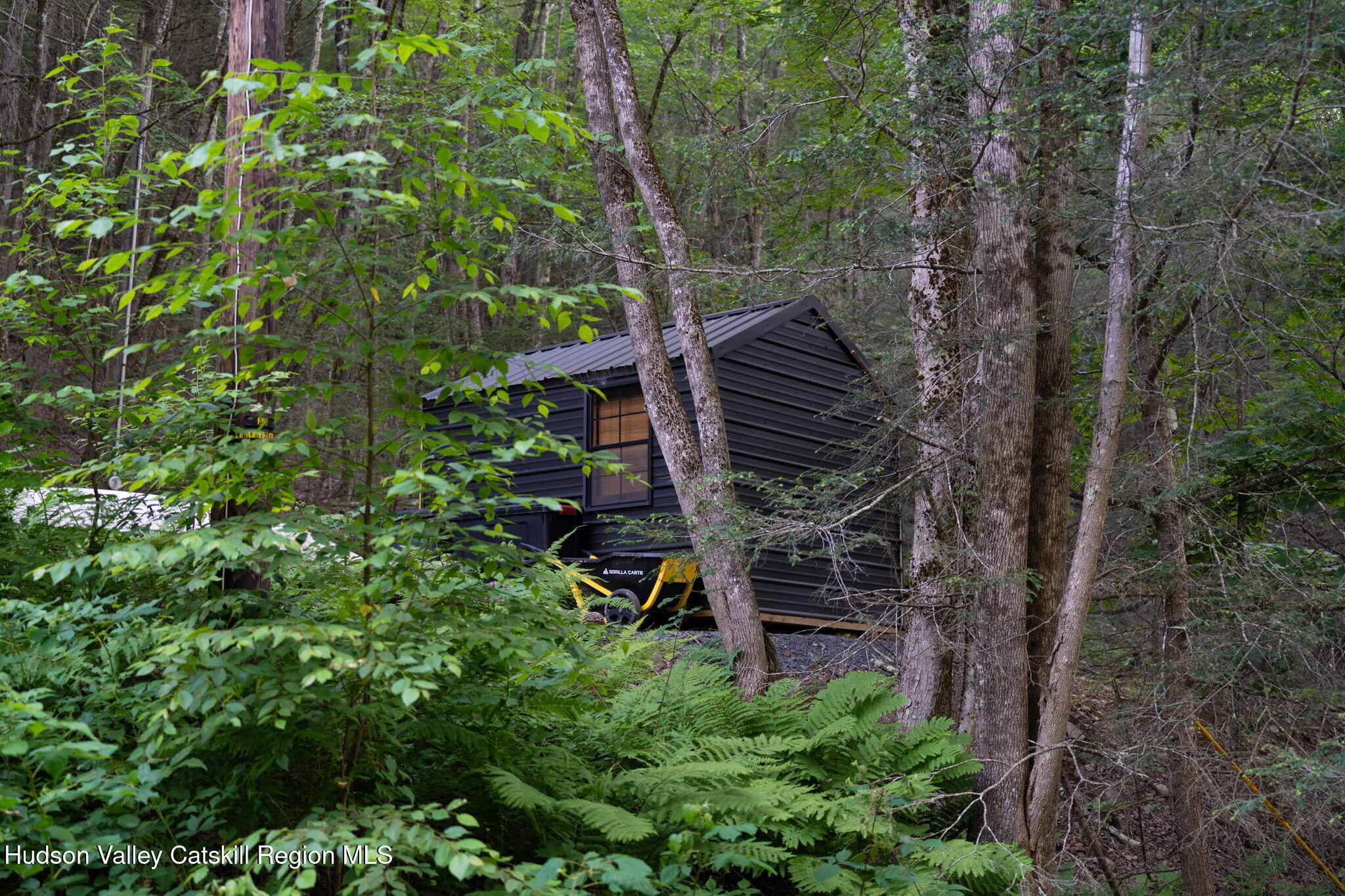 Tbd Tbd Broad Channel Road Andes, NY 13731 - Photo 23 of 23 a view of a backyard