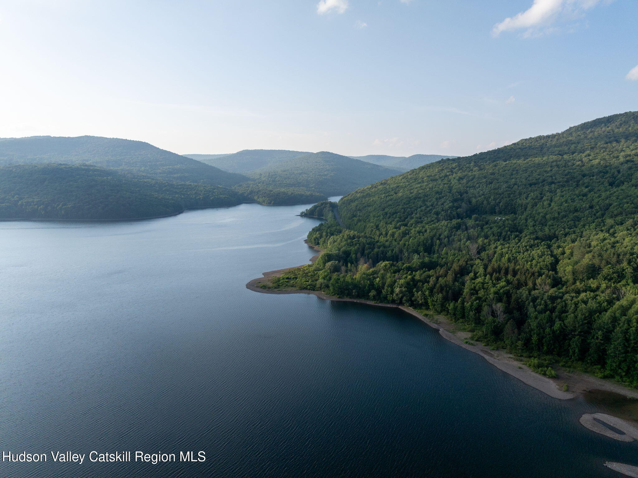 Tbd Tbd Broad Channel Road Andes, NY 13731 - Photo 3 of 23 a view of a lake in middle of the forest