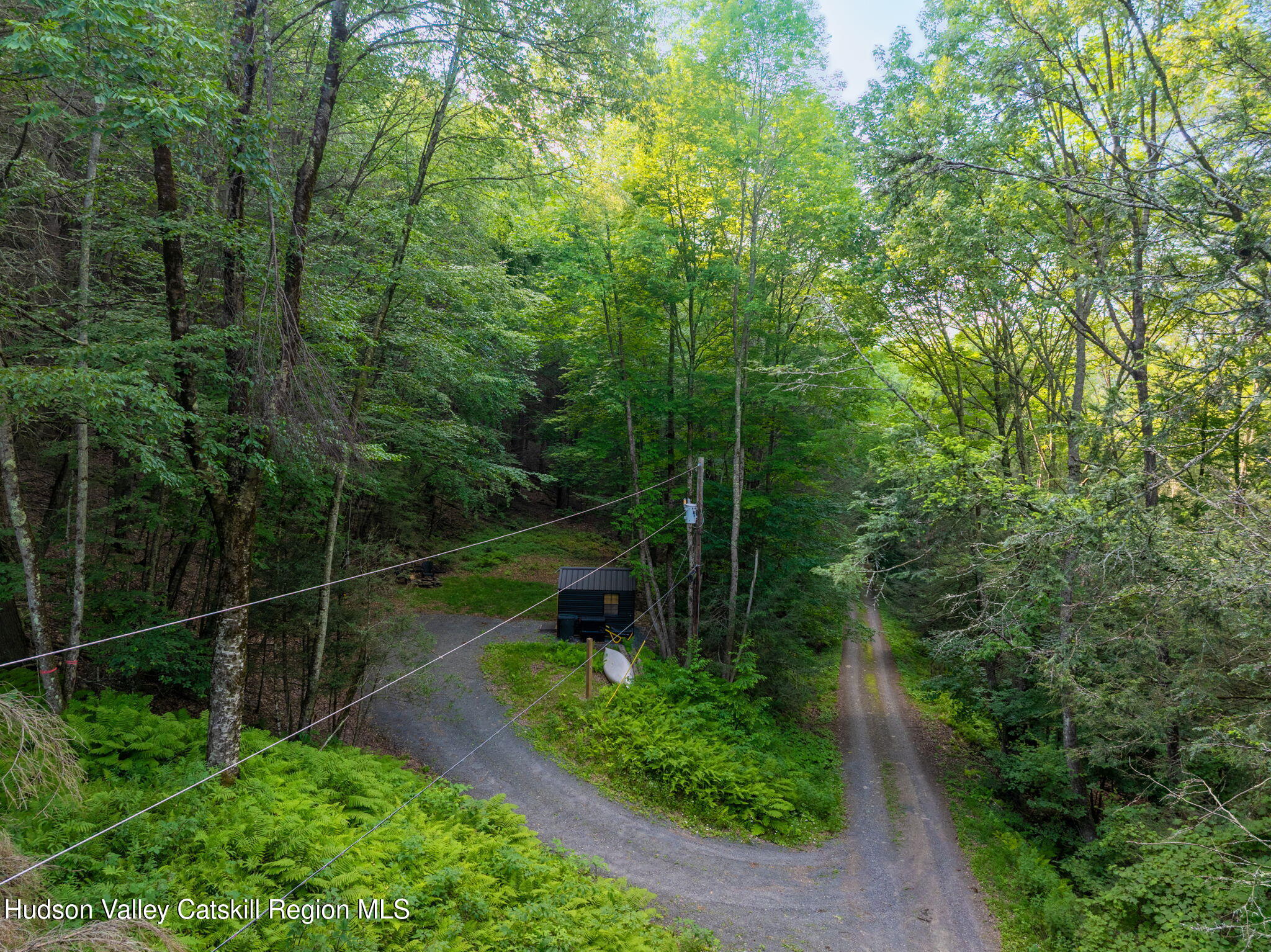 Tbd Tbd Broad Channel Road Andes, NY 13731 - Photo 10 of 23 a view of a backyard with garden