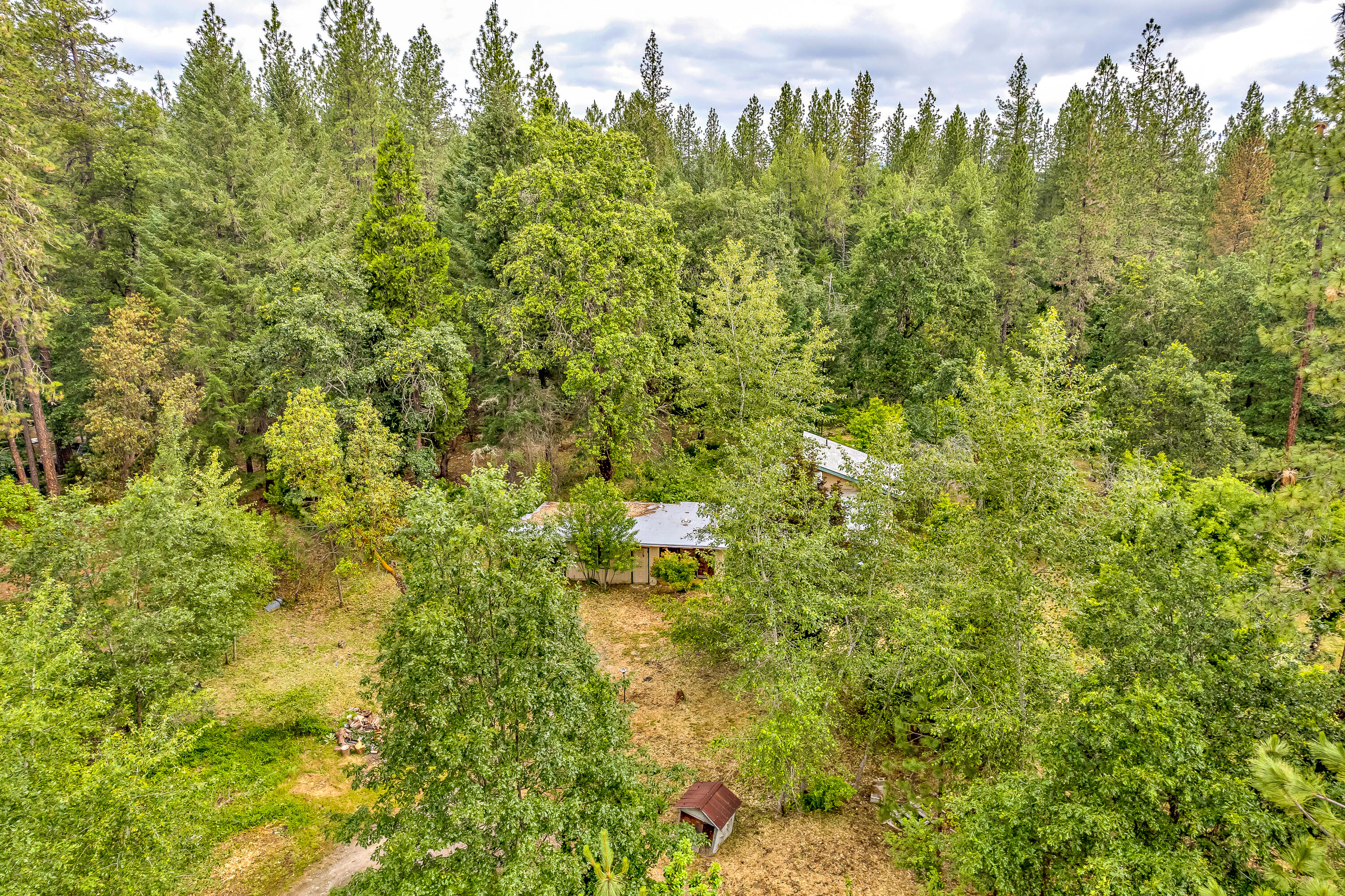 640 Minthorne Road Rogue River, OR 97537 - Photo 14 of 28 DJI_0383