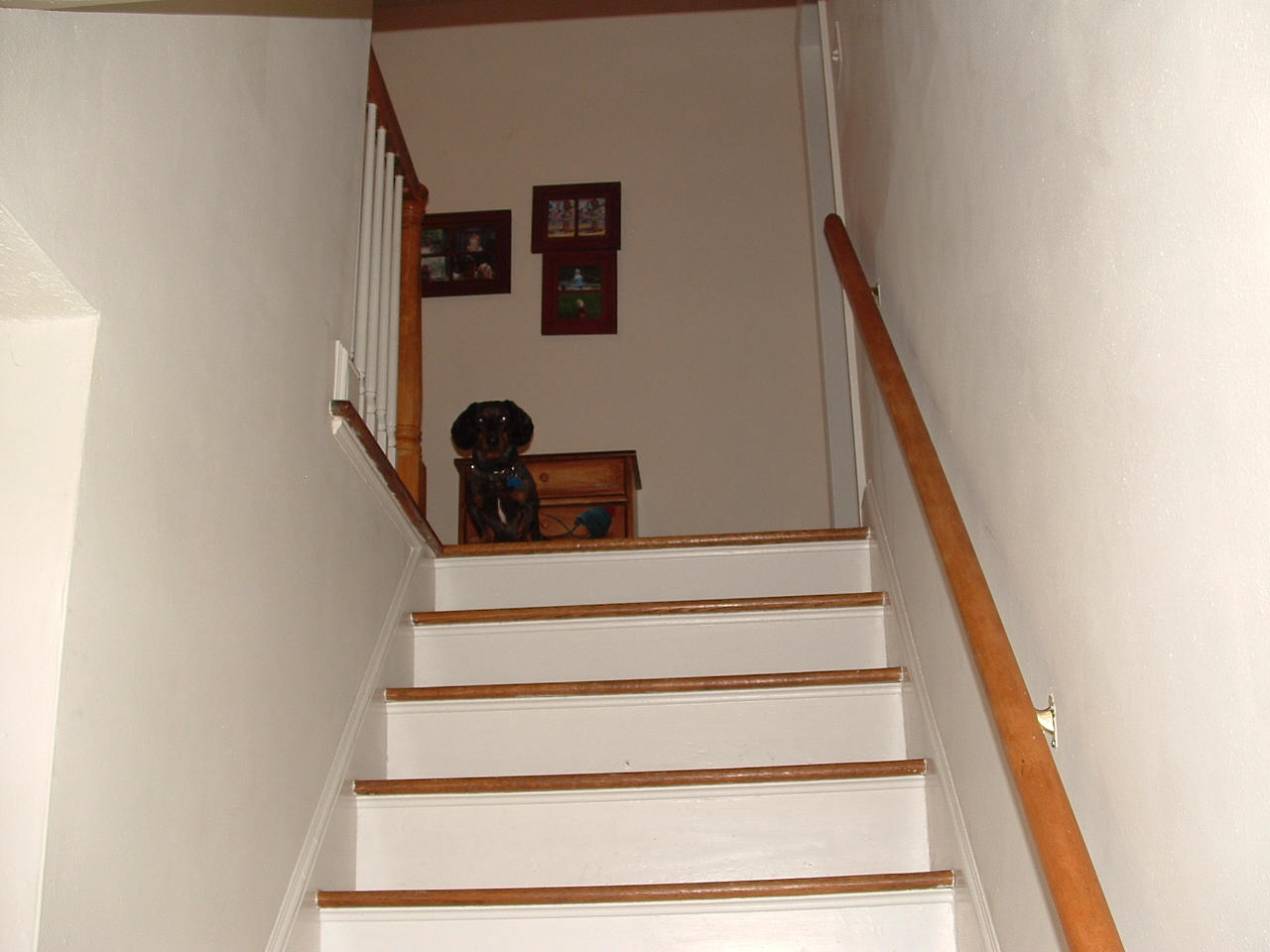 2402 Mt Vernon Road Southwest Roanoke, VA 24015 - Photo 78 of 88 DSCF0544