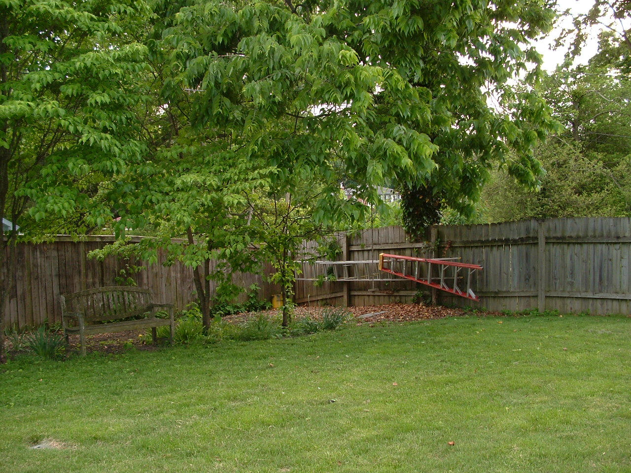 2402 Mt Vernon Road Southwest Roanoke, VA 24015 - Photo 81 of 88 DSCF0527