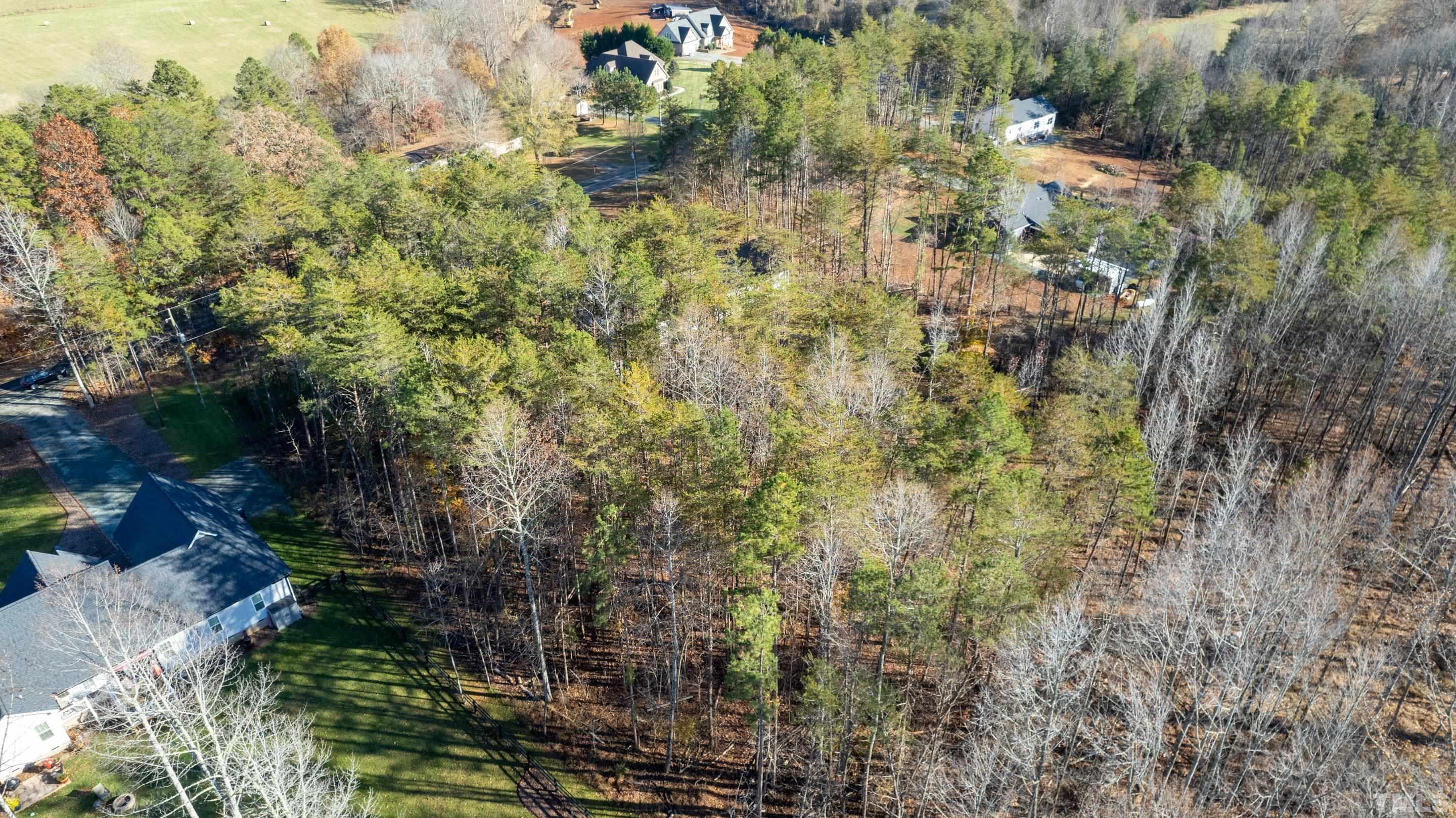 4045 Clapp Mill Road Burlington, NC 27215 - Photo 12 of 23 a view of a forest with a tree