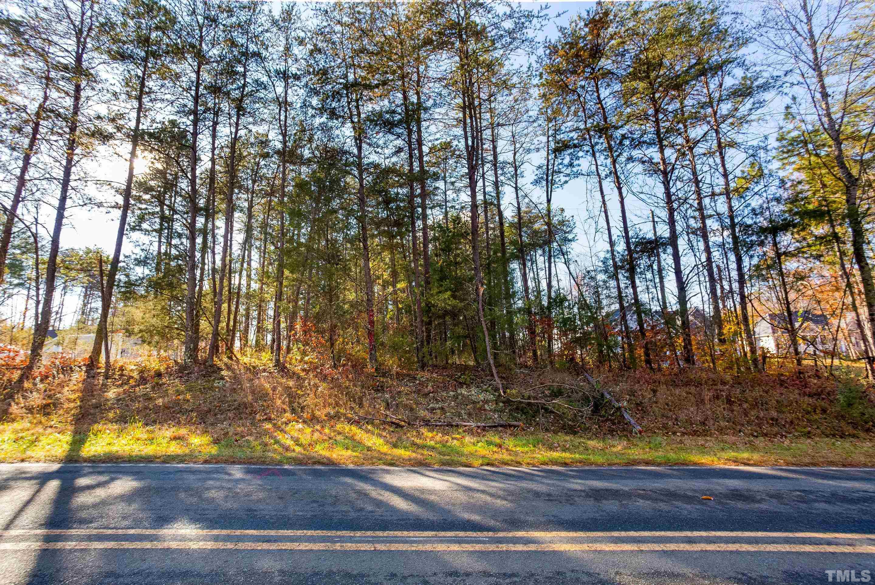 4045 Clapp Mill Road Burlington, NC 27215 - Photo 21 of 23 a view of a backyard