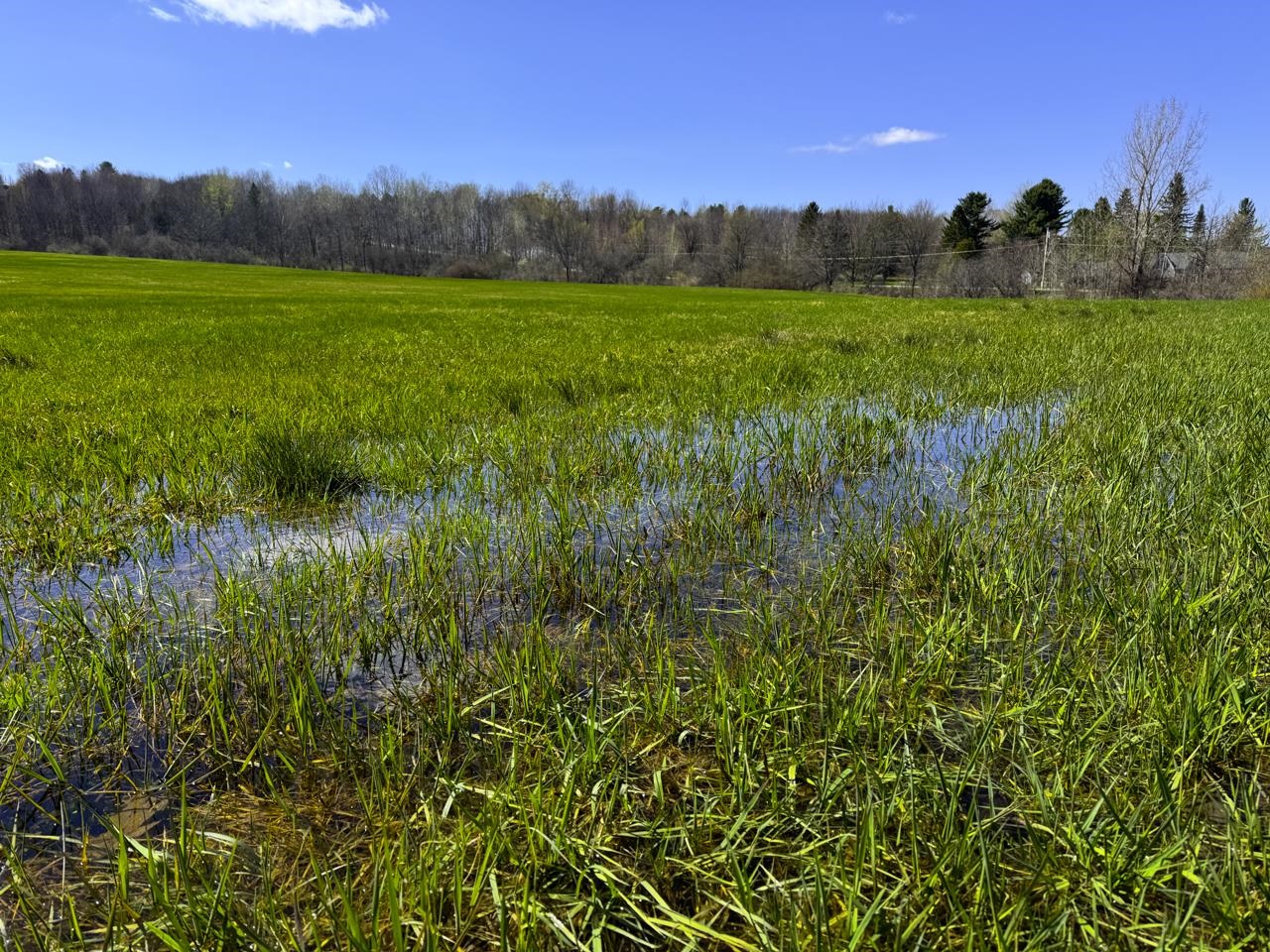 3003 Lake Road Newport Town, VT 05857 - Photo 24 of 34