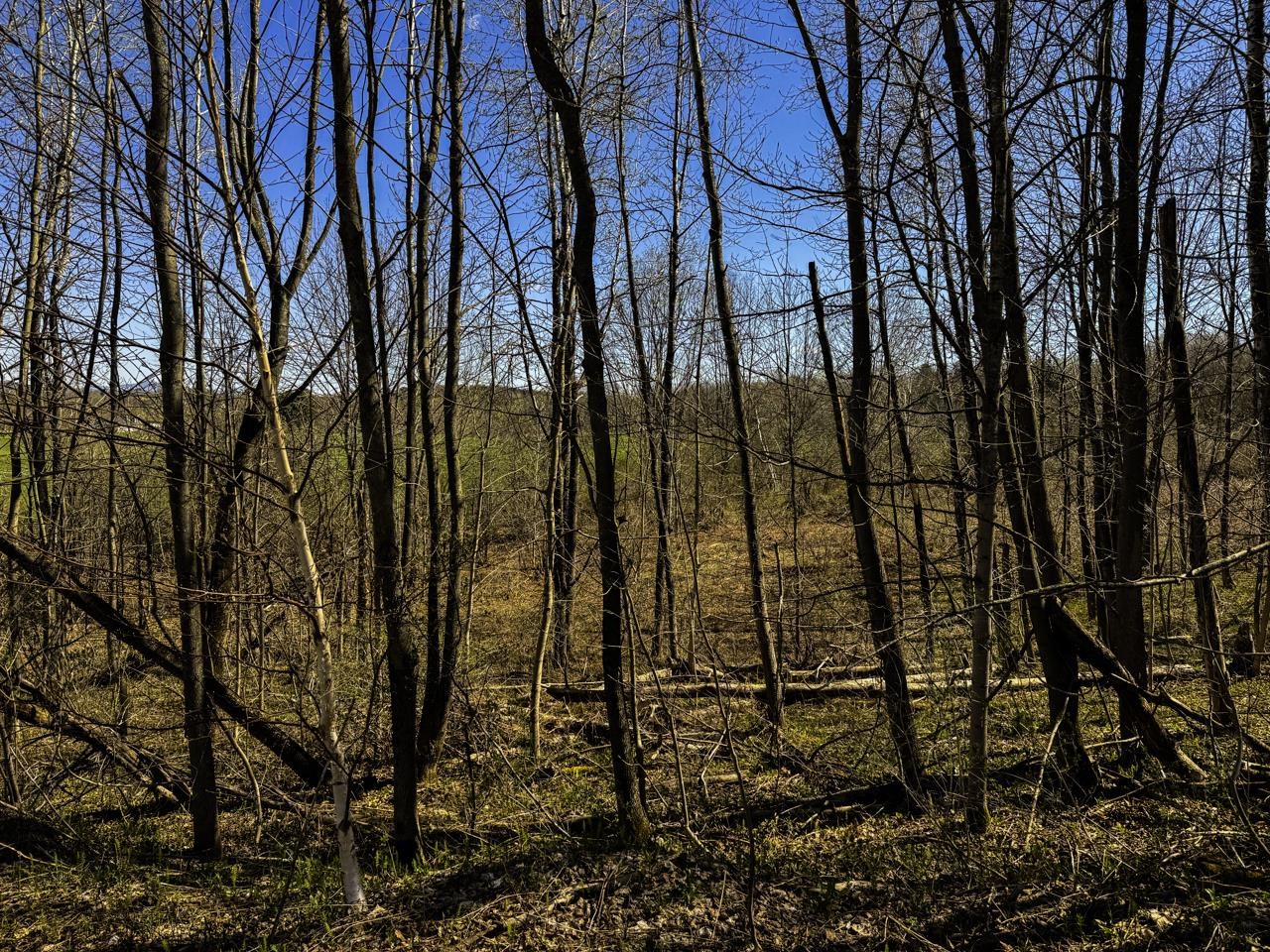 3003 Lake Road Newport Town, VT 05857 - Photo 27 of 34