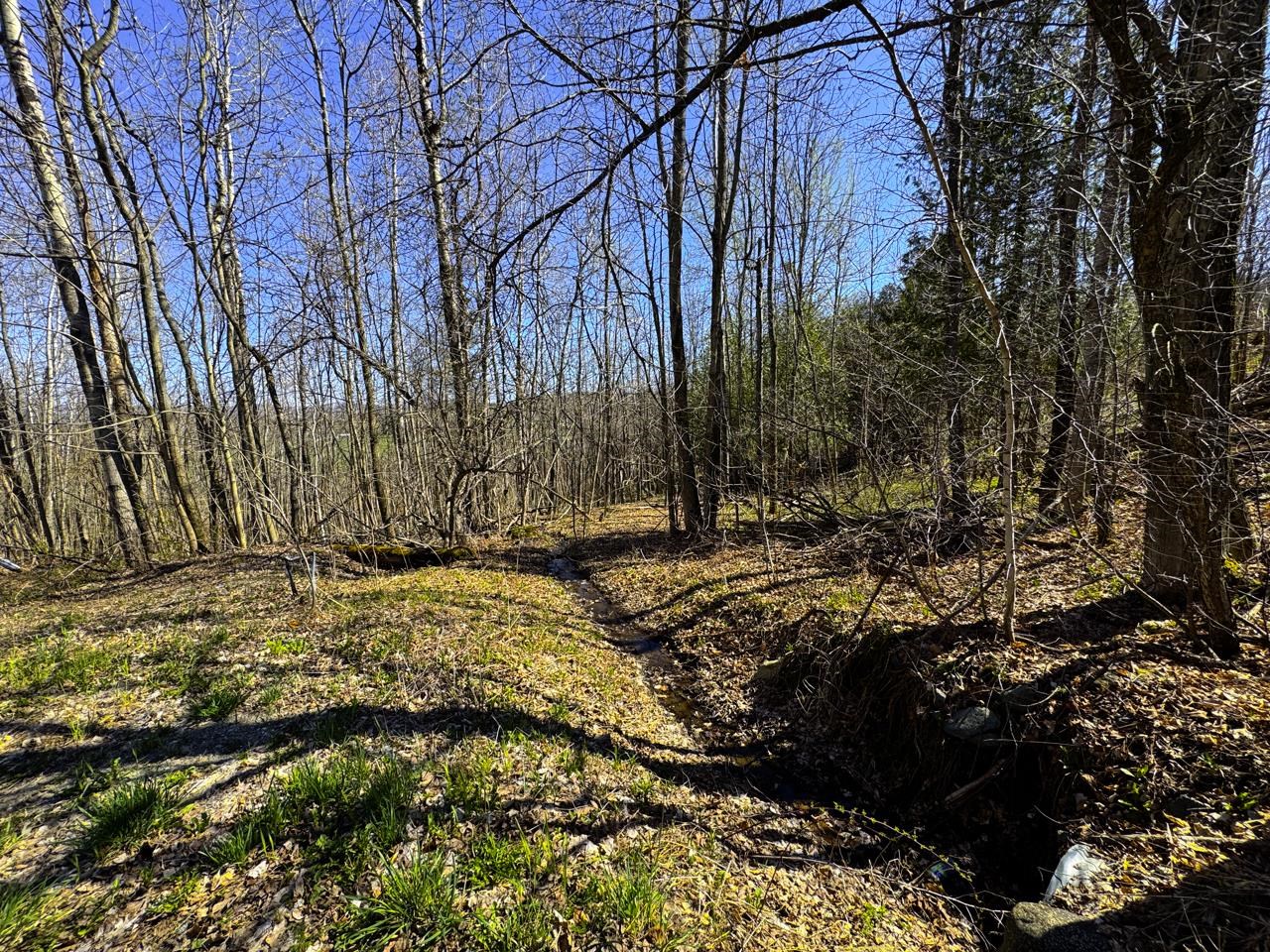 3003 Lake Road Newport Town, VT 05857 - Photo 28 of 34