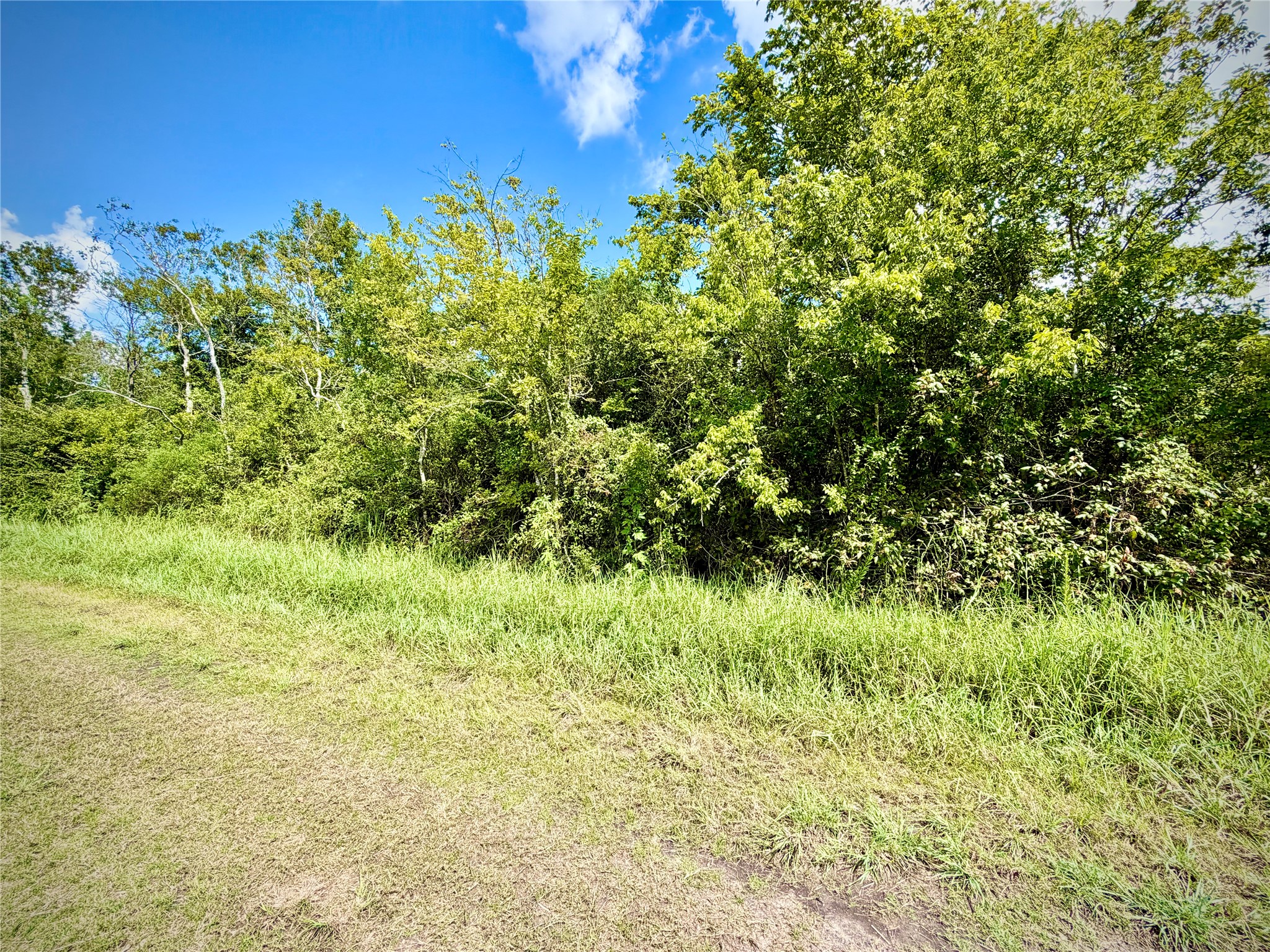 0 County Road 121 Rosharon, TX 77583 - Photo 6 of 11 Gallery Image 6