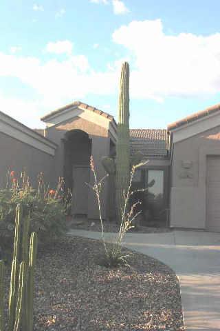 Primary Photo