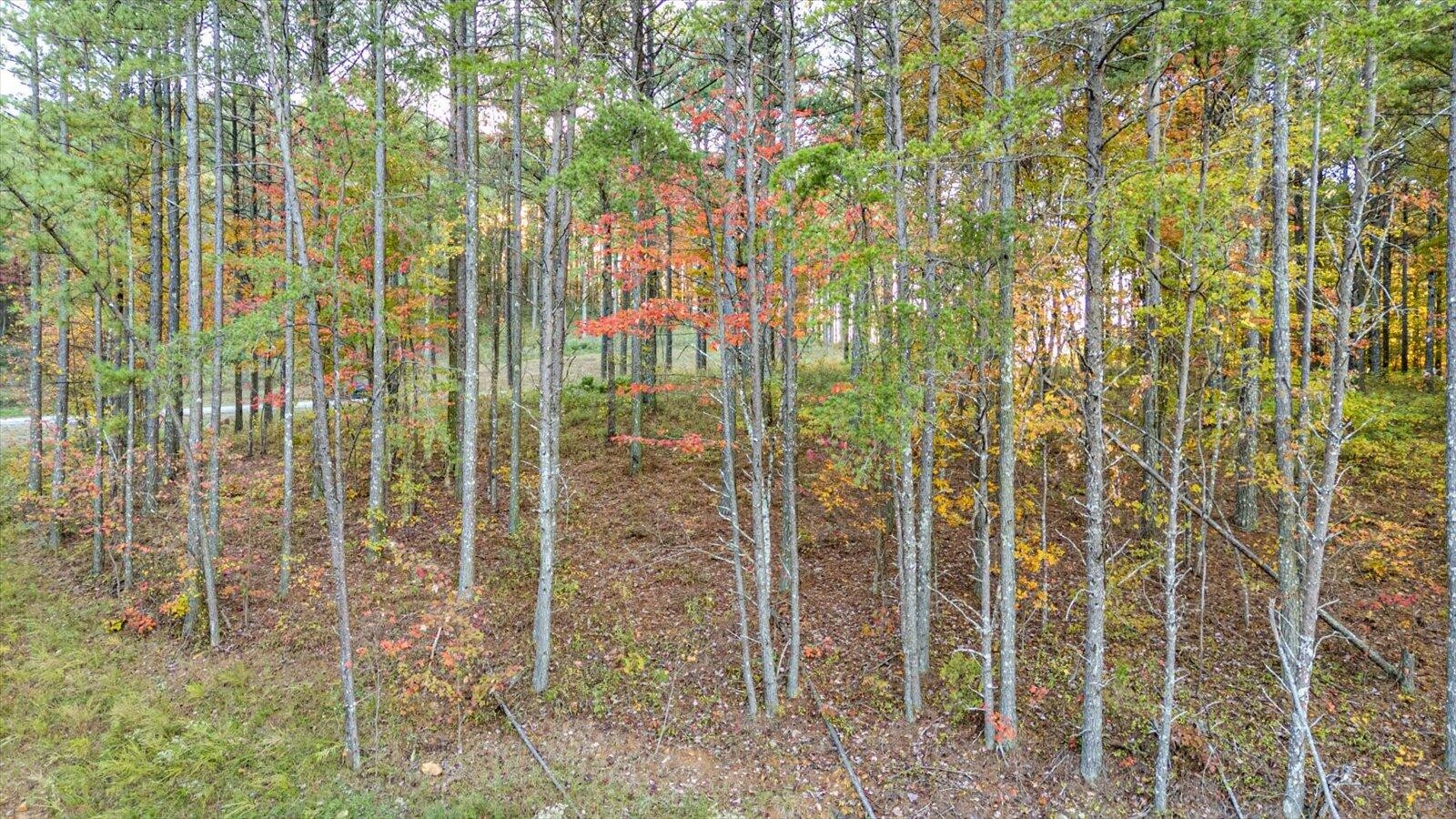 0 Split Rail Way Guild, TN 37340 - Photo 13 of 25 Gallery Image 13