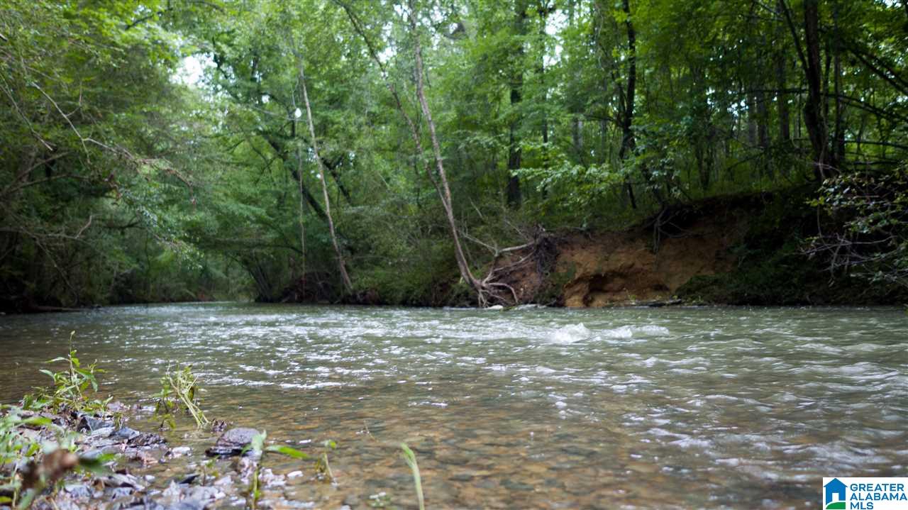 180 Gibson Road, Unit 76 / ACRES OFF GIBSON R Columbiana, AL 35051 - Photo 21 of 50