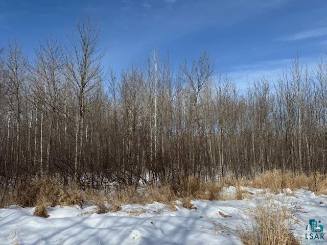 61 County Road 61 Barnum, MN 55707 - Photo 6 of 8