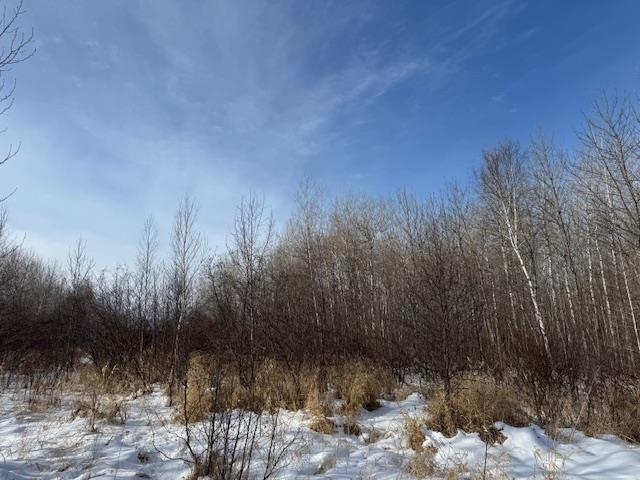 61 County Road 61 Barnum, MN 55707 - Photo 7 of 8