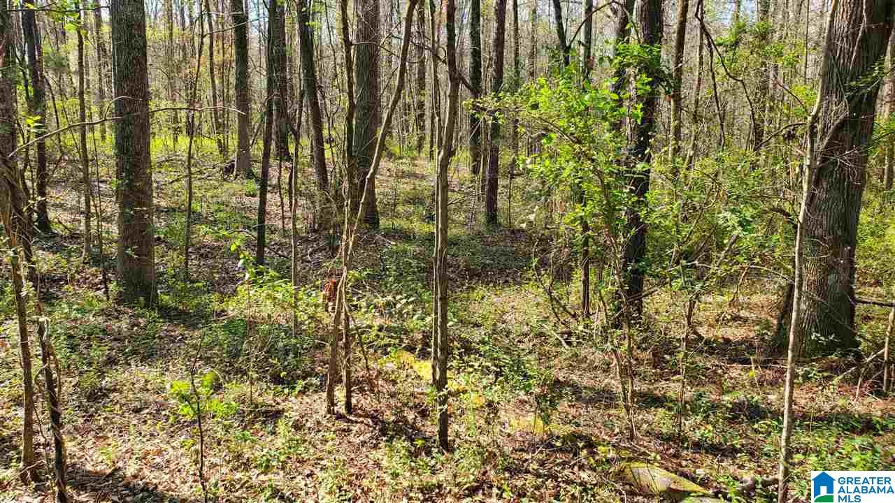 4356 Richeytown Road, Unit 1 Oxford, AL 36203 - Photo 9 of 10