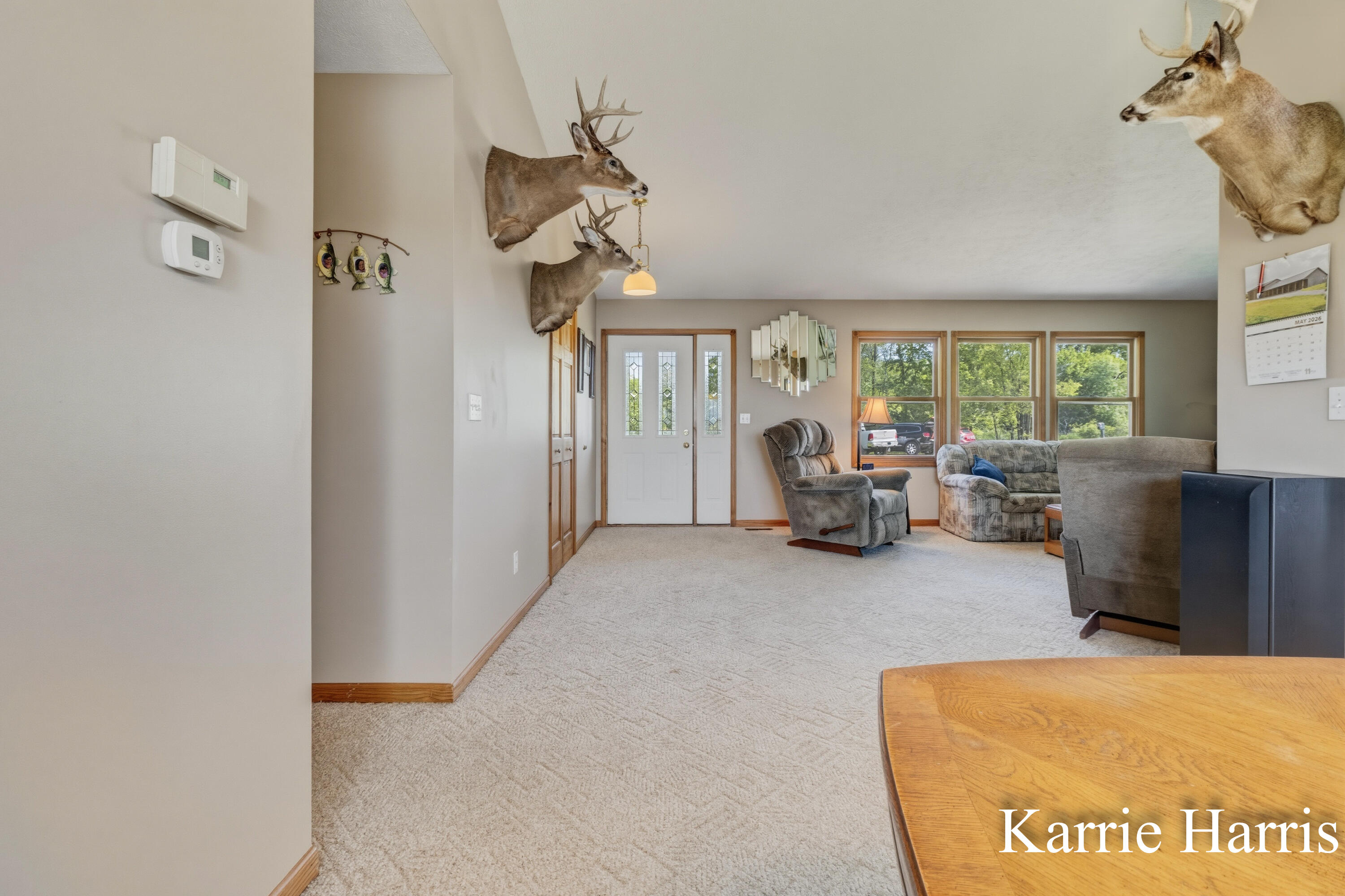 6048 Cedar Lake Road Southeast Sheridan, MI 48884 - Photo 5 of 39 LR/DR