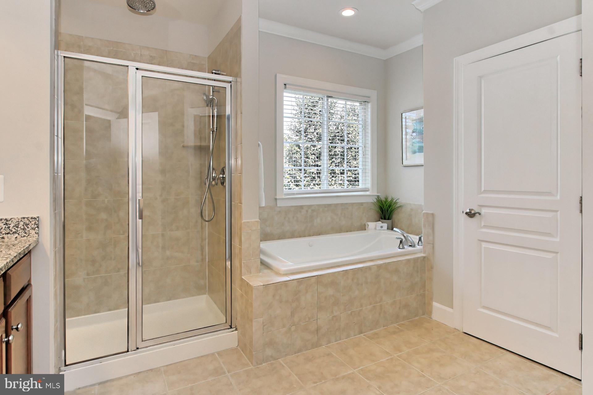 23106 Bronstein Lane Brambleton, VA 20148 - Photo 22 of 58 Owners Bath: Spa Toned Tile+Jacuzzi Tub+Linen Clst