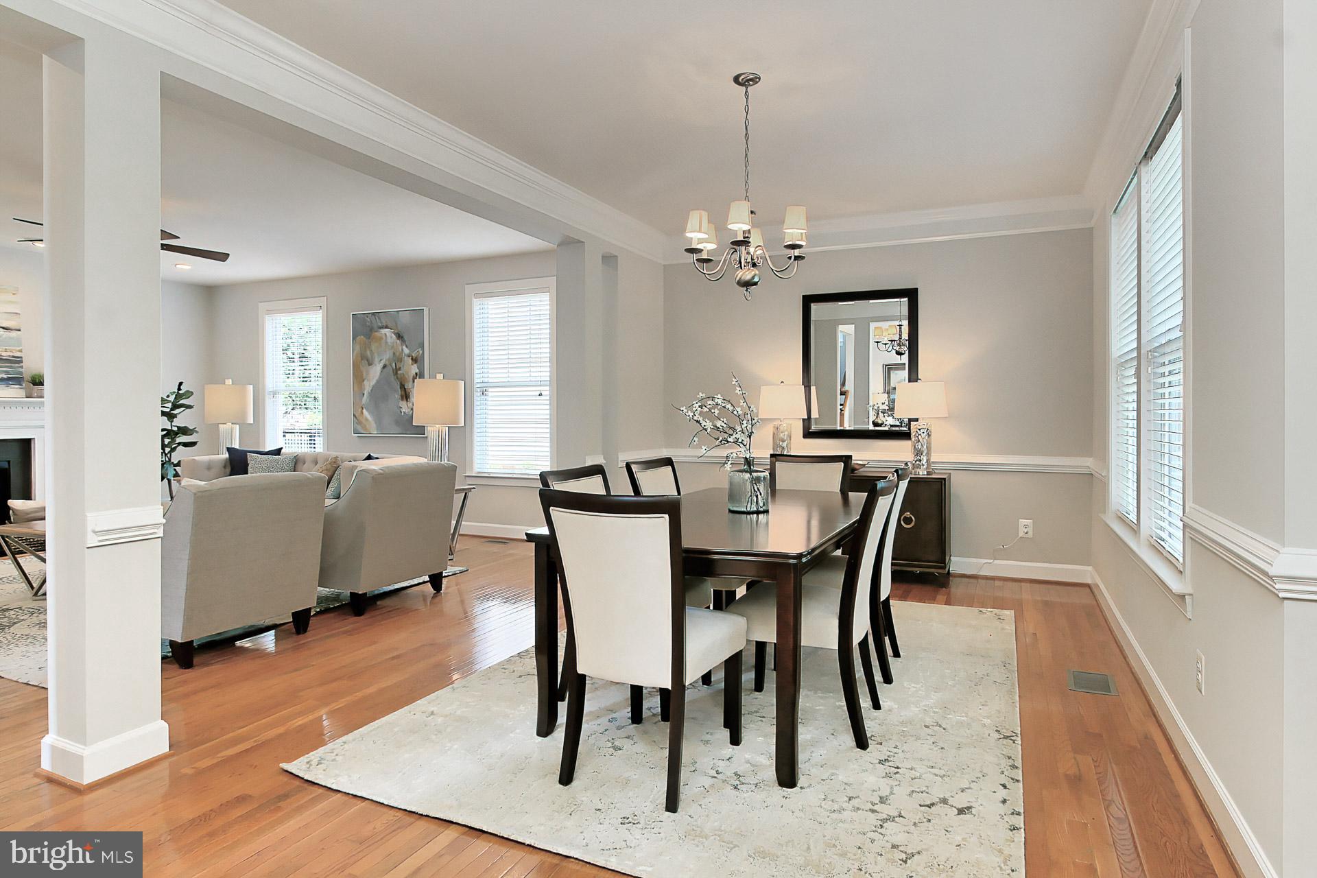 23106 Bronstein Lane Brambleton, VA 20148 - Photo 4 of 58 Decorative Mouldings and Freshly Painted