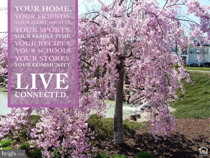 23106 Bronstein Lane Brambleton, VA 20148 - Photo 48 of 58 HOA Includes- FIOS Package w Cable and Internet!!!