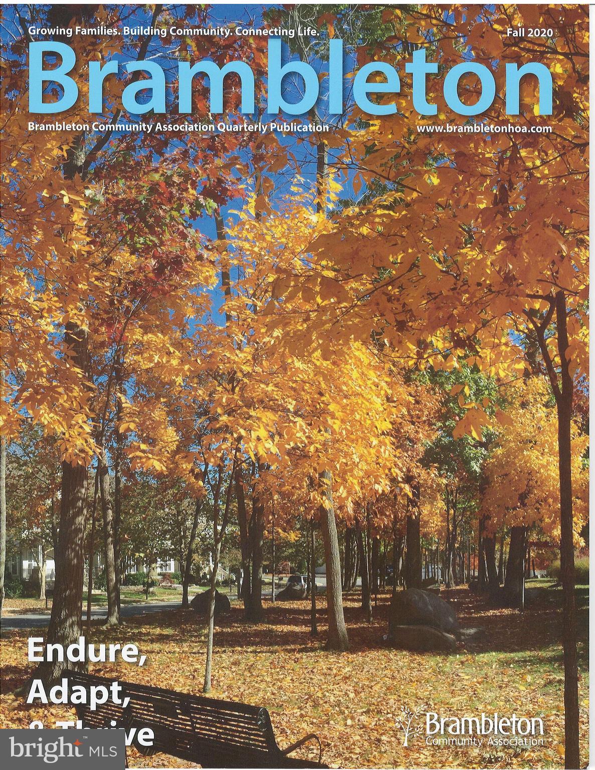 23106 Bronstein Lane Brambleton, VA 20148 - Photo 52 of 58 Well Thought Out and Informational Quarterly Magz!