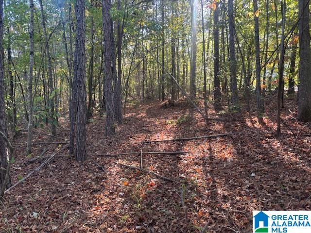 Dogwood Ridge, Unit 55 Wedowee, AL 36278 - Photo 2 of 5