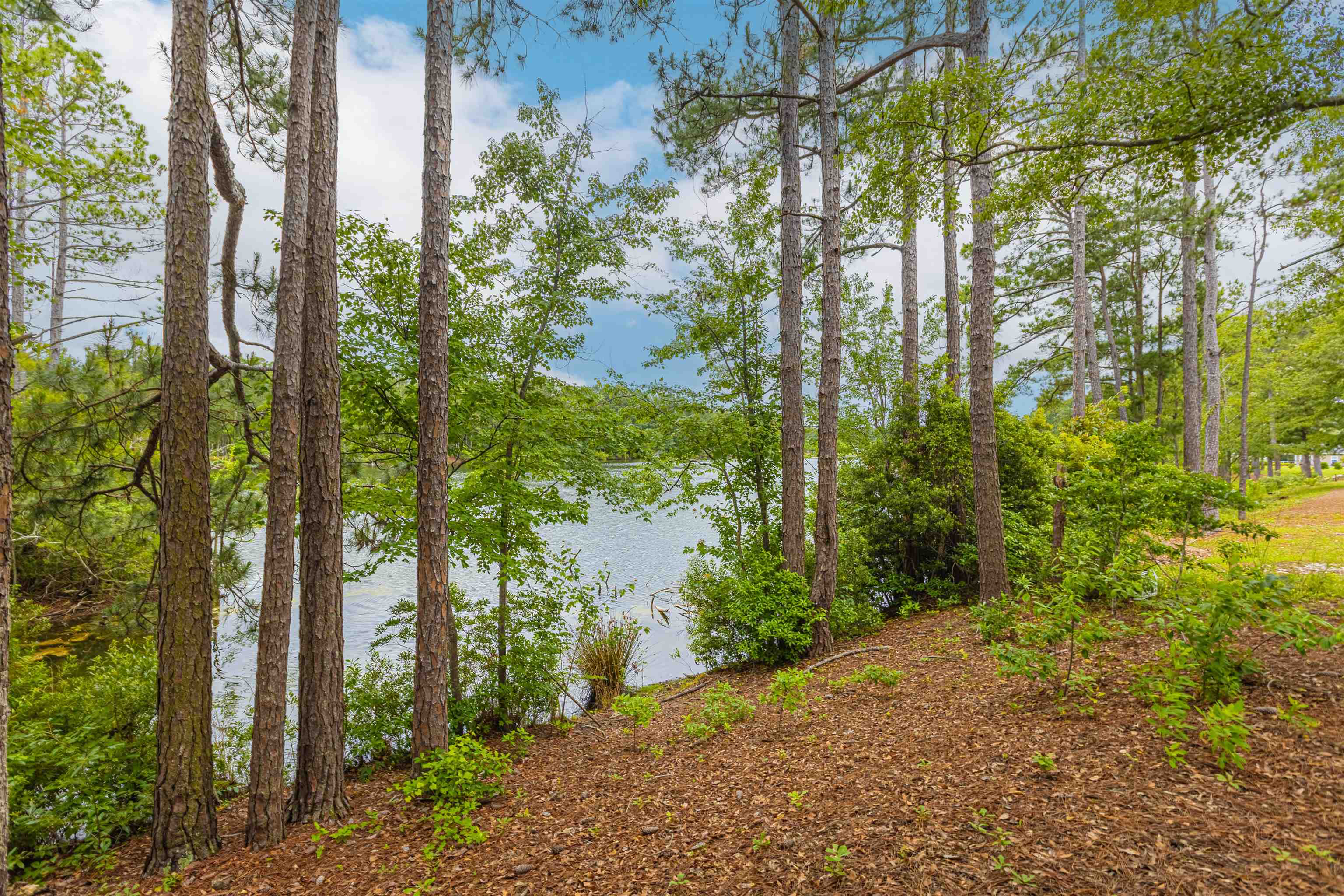 305 Long Meadow Drive Loris, SC 29569 - Photo 26 of 30