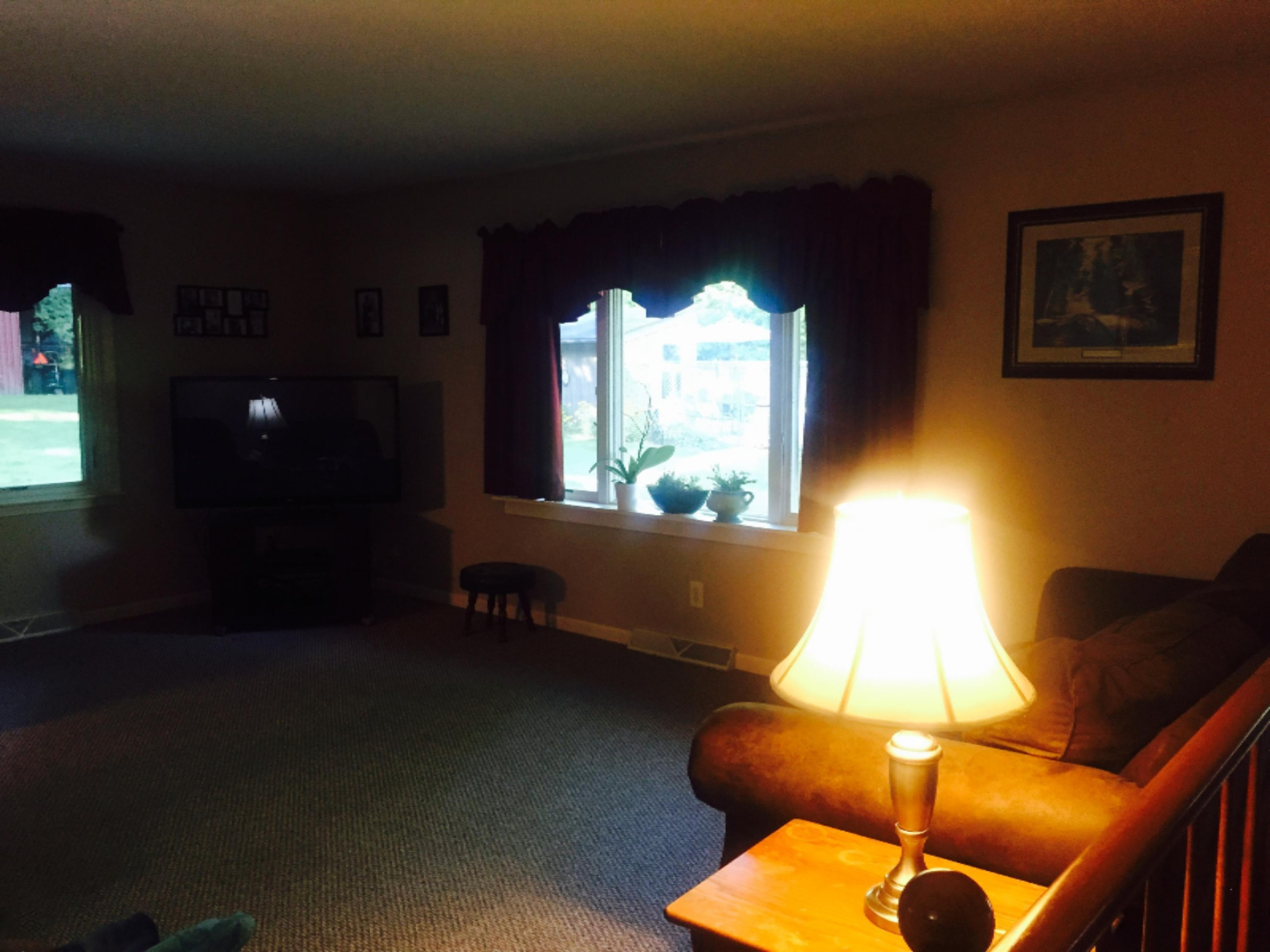 3514 North Maple Island Road Hesperia, MI 49421 - Photo 16 of 33 pic2