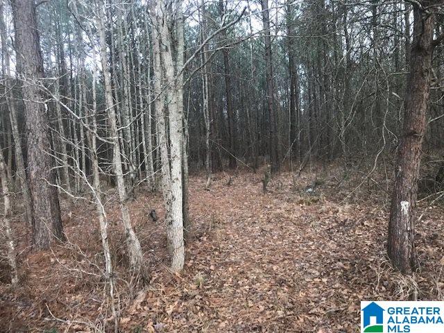 1 Marklund Road, Unit ACREAGE Empire, AL 35063 - Photo 4 of 4