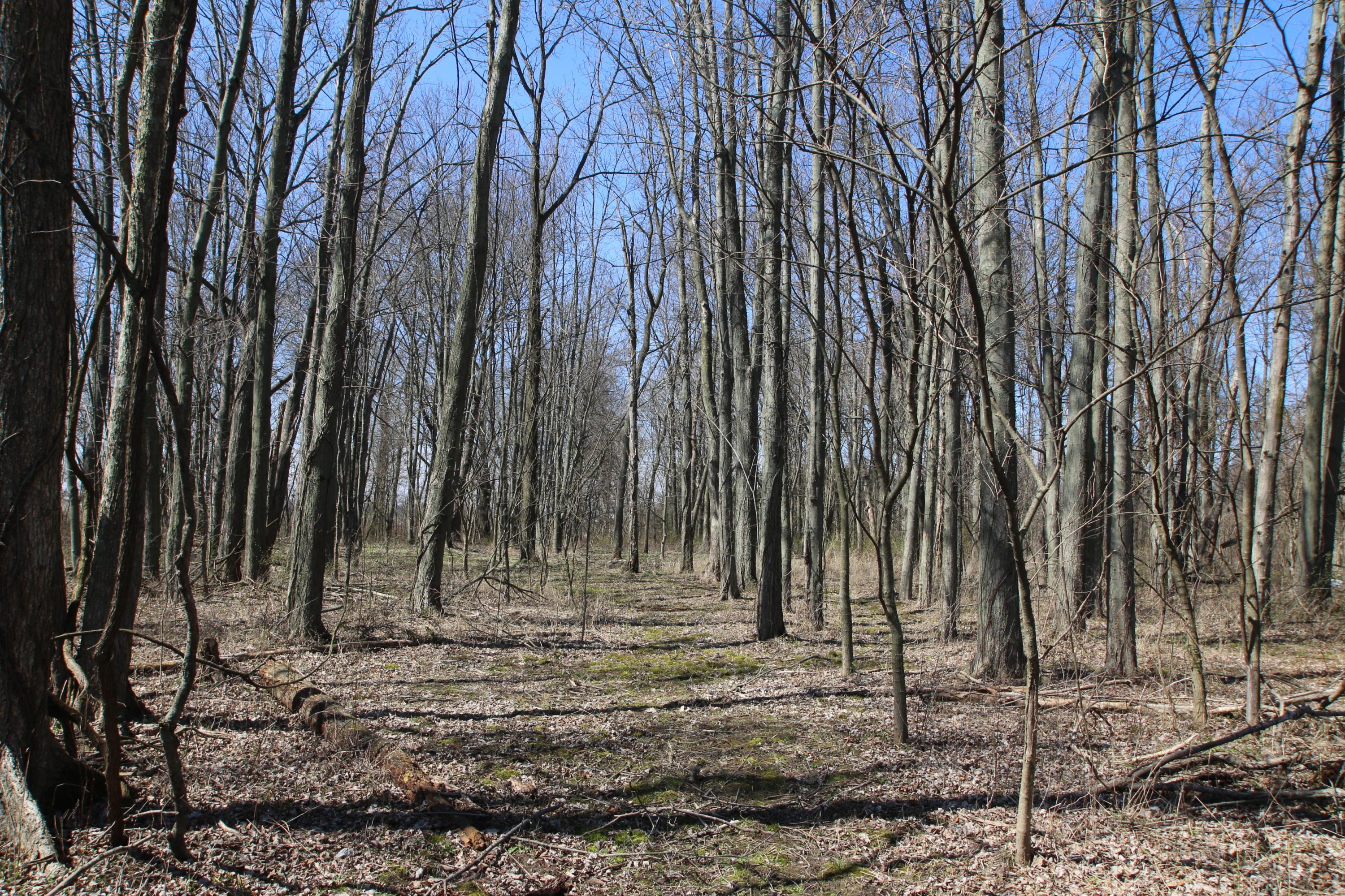 0 Downing Road Johnstown, OH 43031 - Photo 2 of 4
