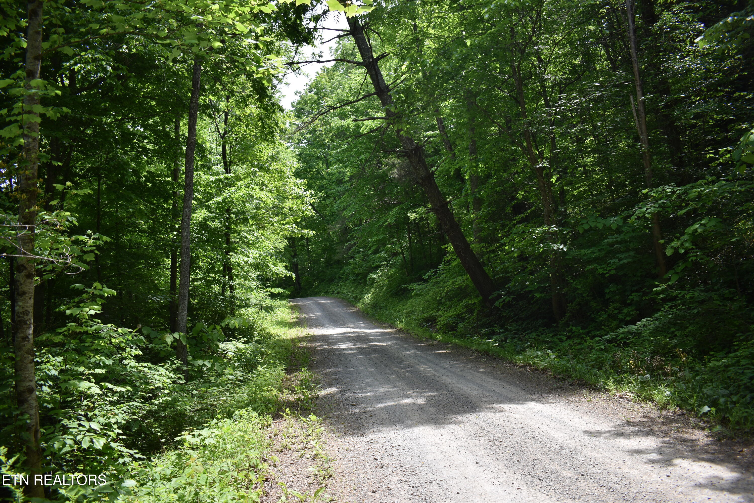 Shady Valley Road Rose Hill, VA 24281 - Photo 5 of 28 DSC_0005