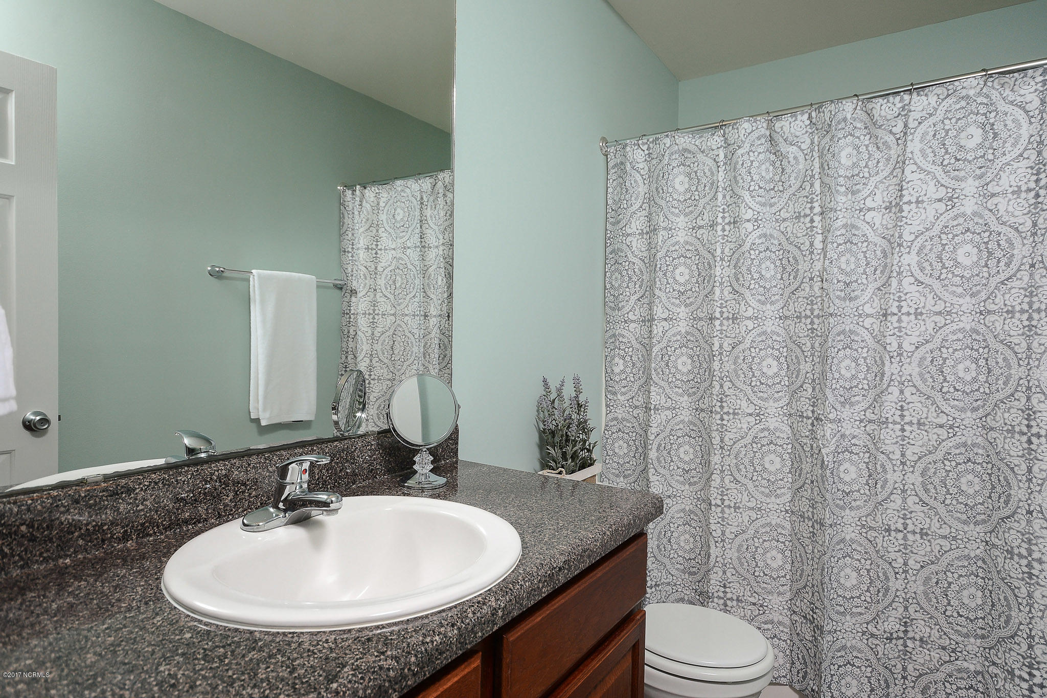 815 Haw Branch Road Beulaville, NC 28518 - Photo 24 of 38 DSC_8454