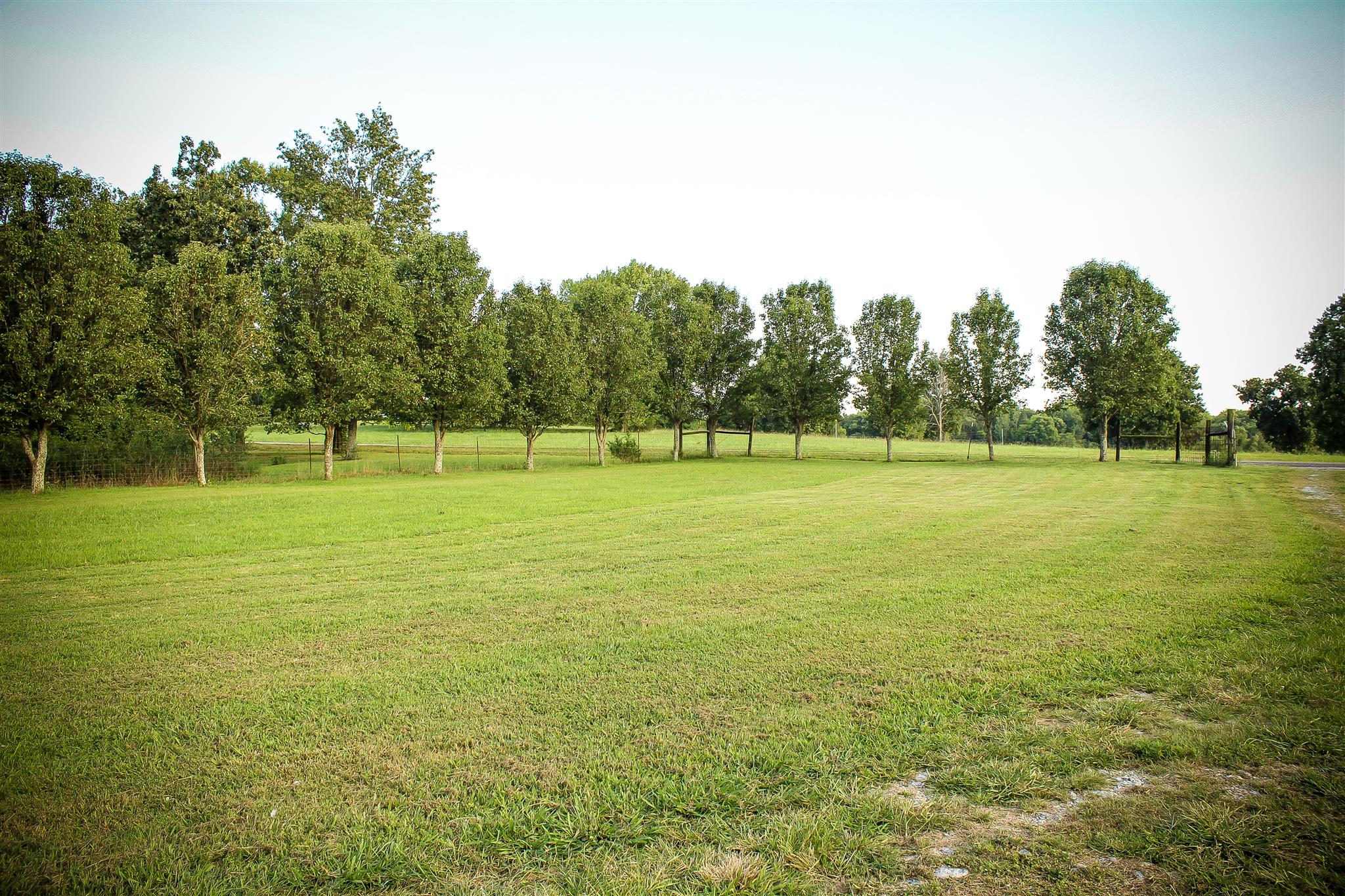 9301 Sims Road Christiana, TN 37037 - Photo 20 of 30 Gallery Image 20