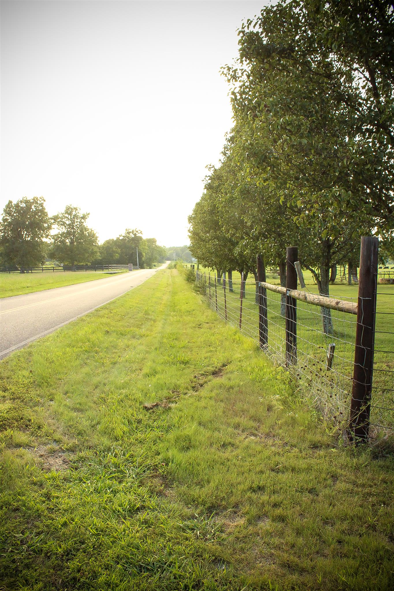 9301 Sims Road Christiana, TN 37037 - Photo 21 of 30 Gallery Image 21