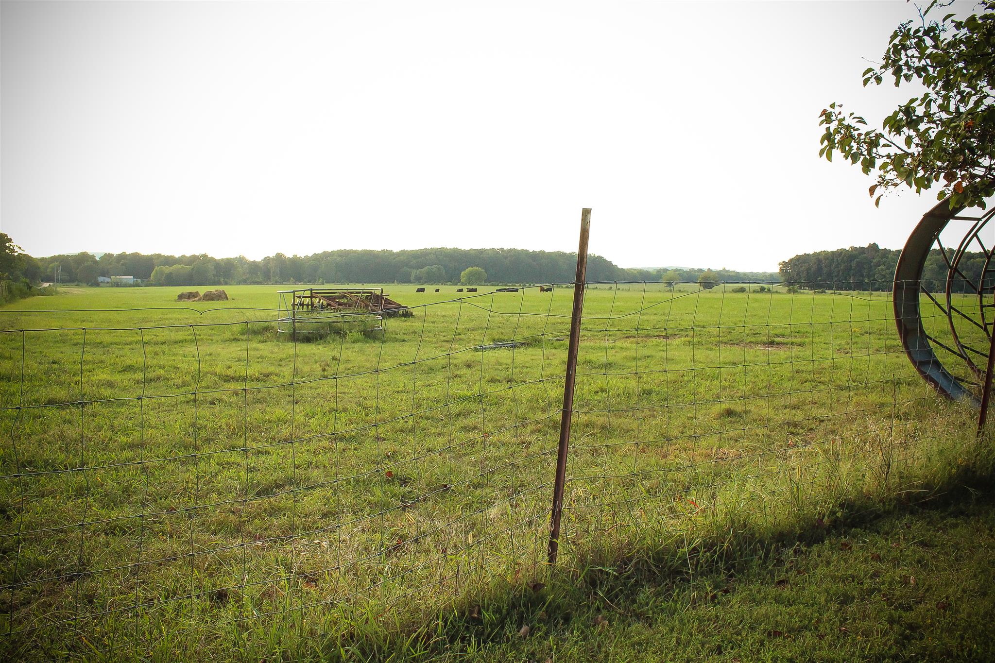 9301 Sims Road Christiana, TN 37037 - Photo 22 of 30 Gallery Image 22